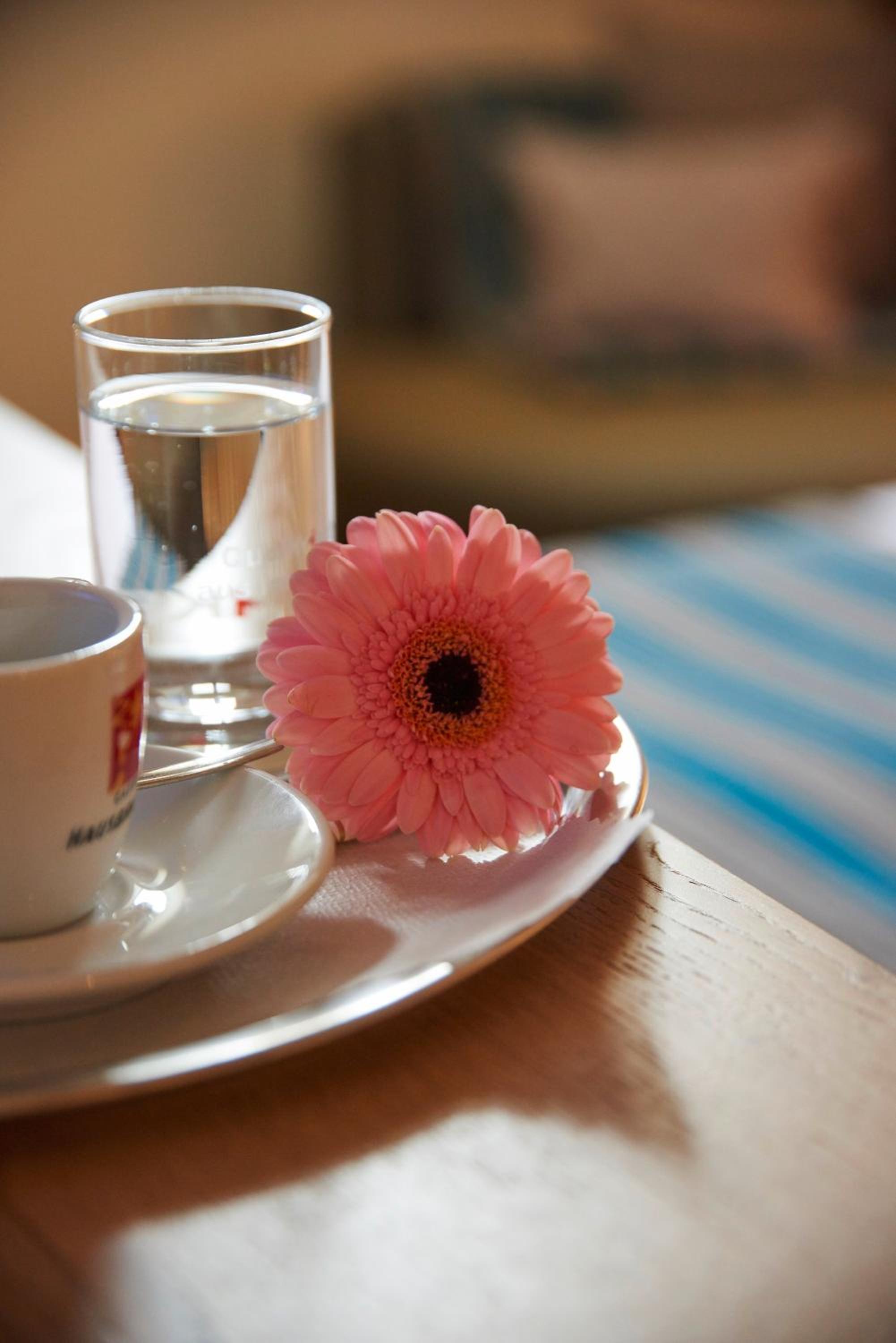 Double Room Mansarde Altstadt