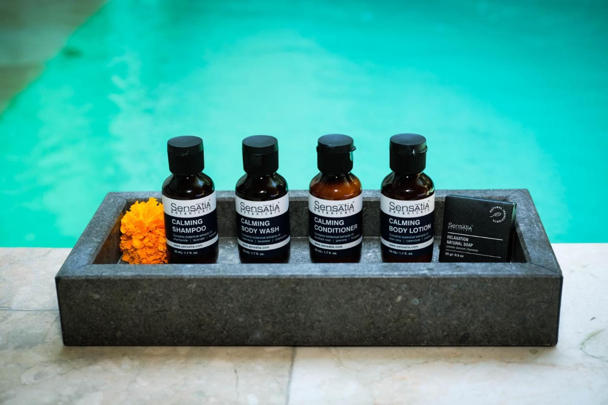 Loft One Bedroom Villa with Private Pool