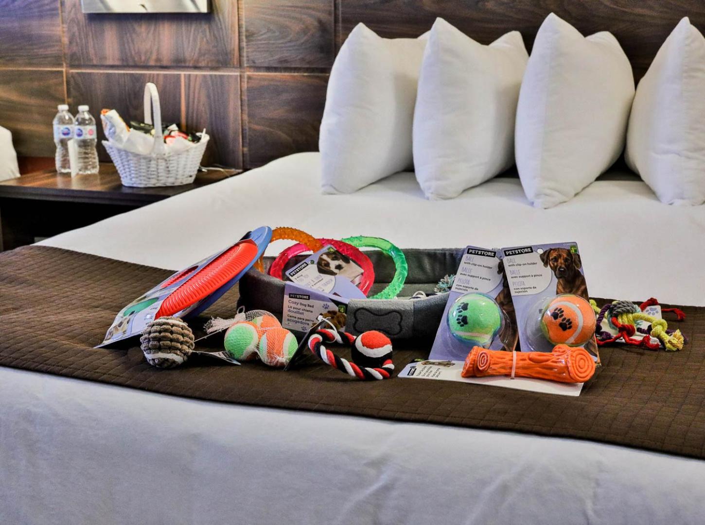 Queen Room with Two Queen Beds