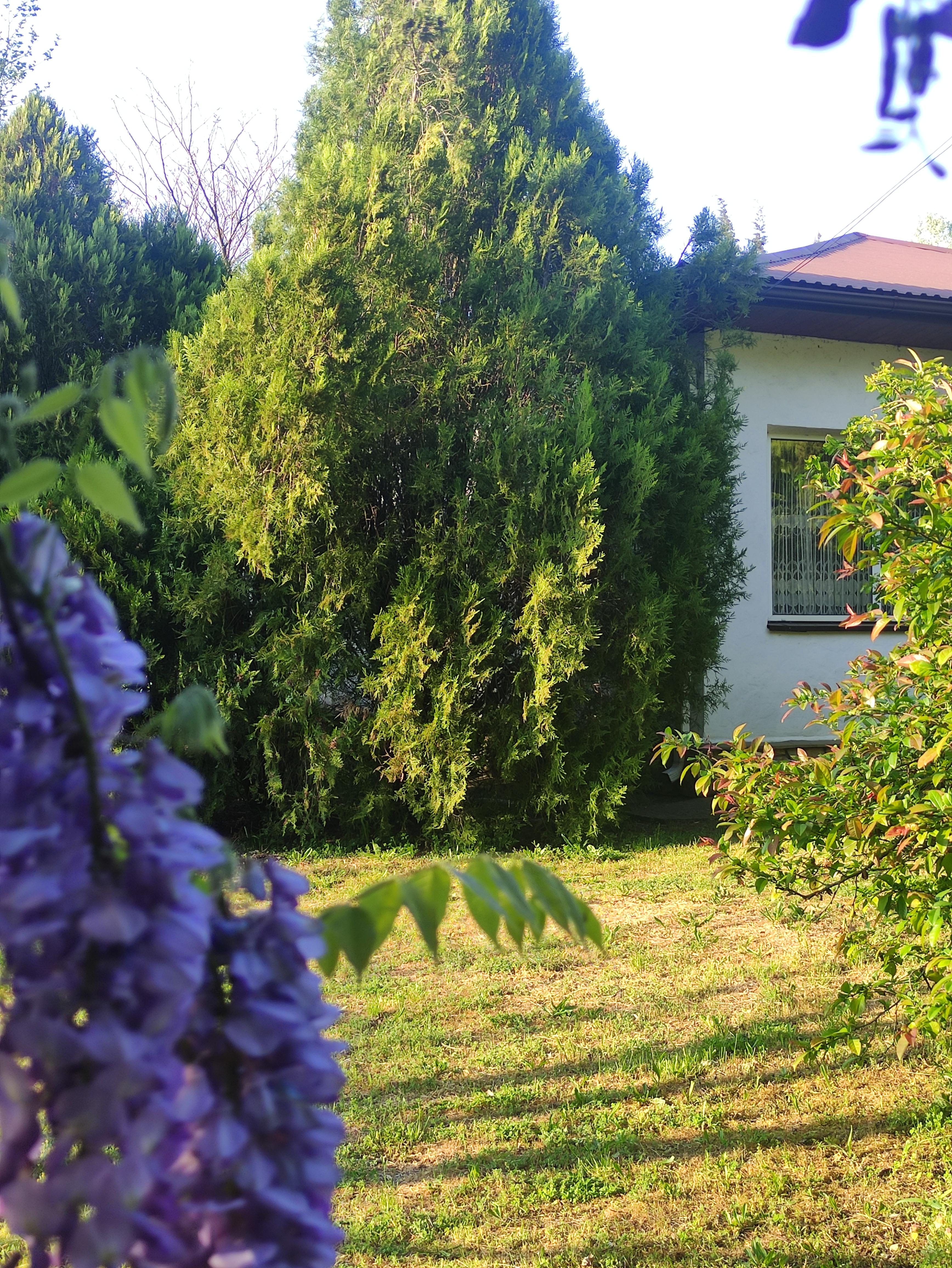 Двухместный номер с 1 кроватью