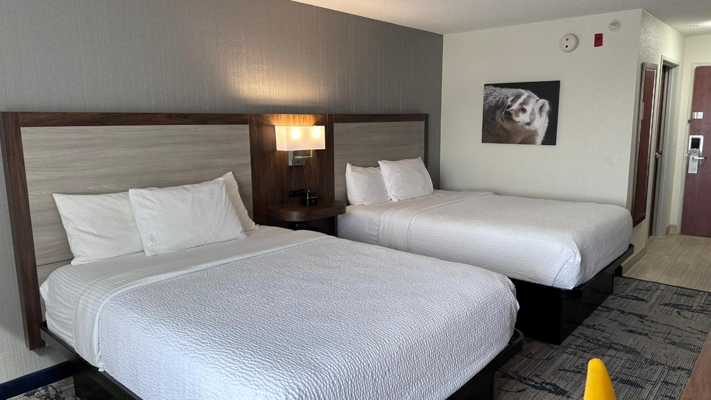 Double Room with Two Double Beds