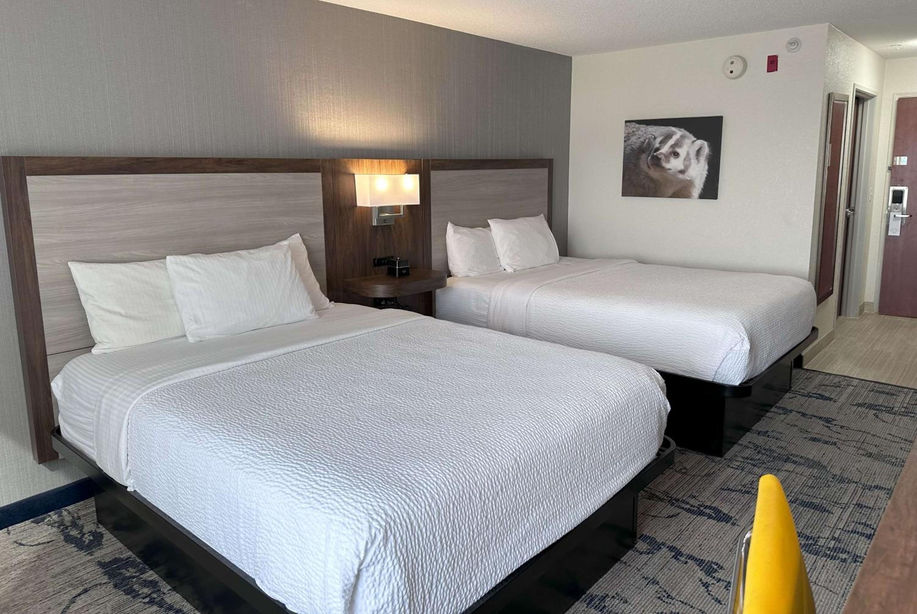Double Room with Two Double Beds
