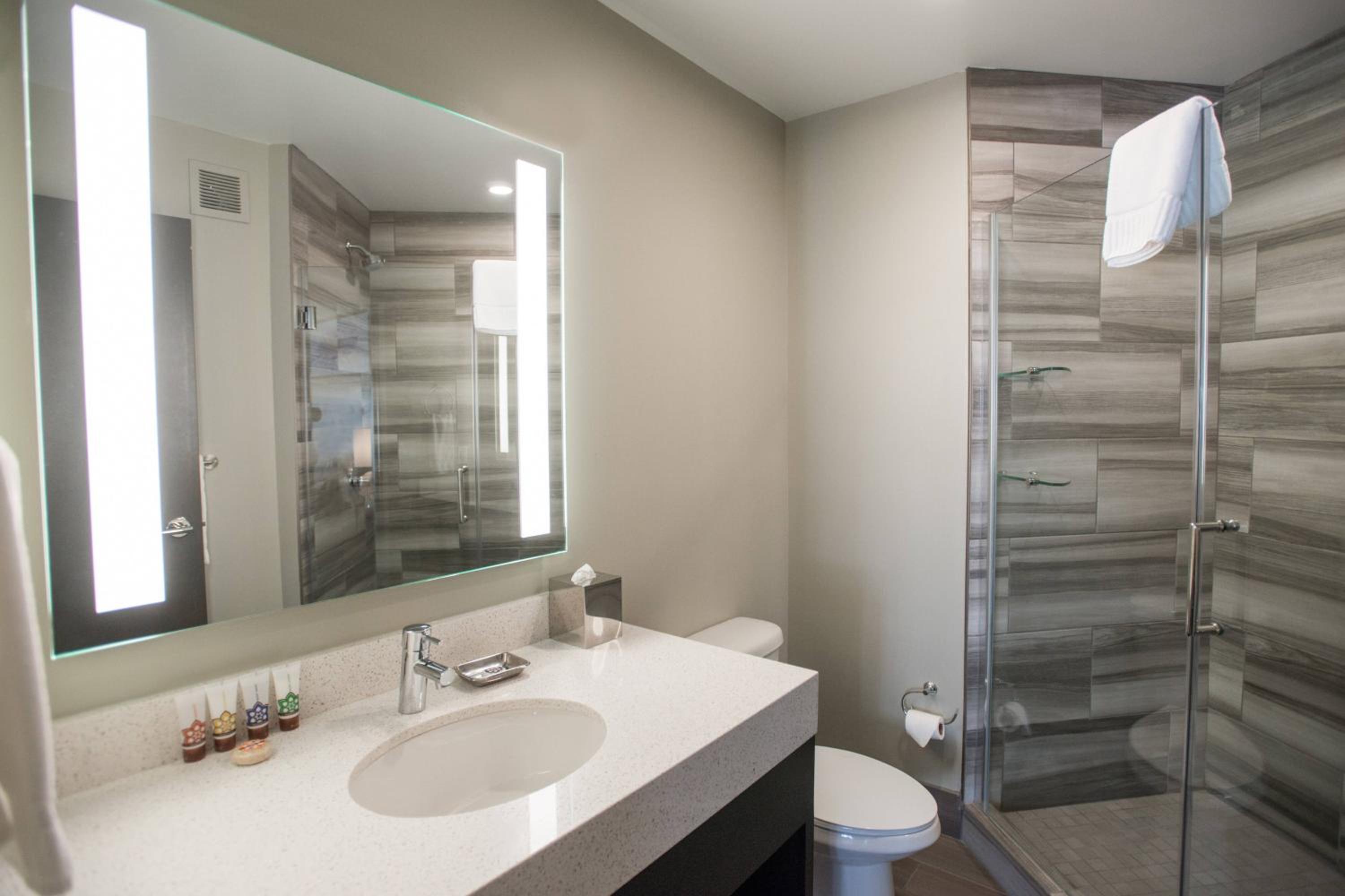 Deluxe Guest Room with One King Bed