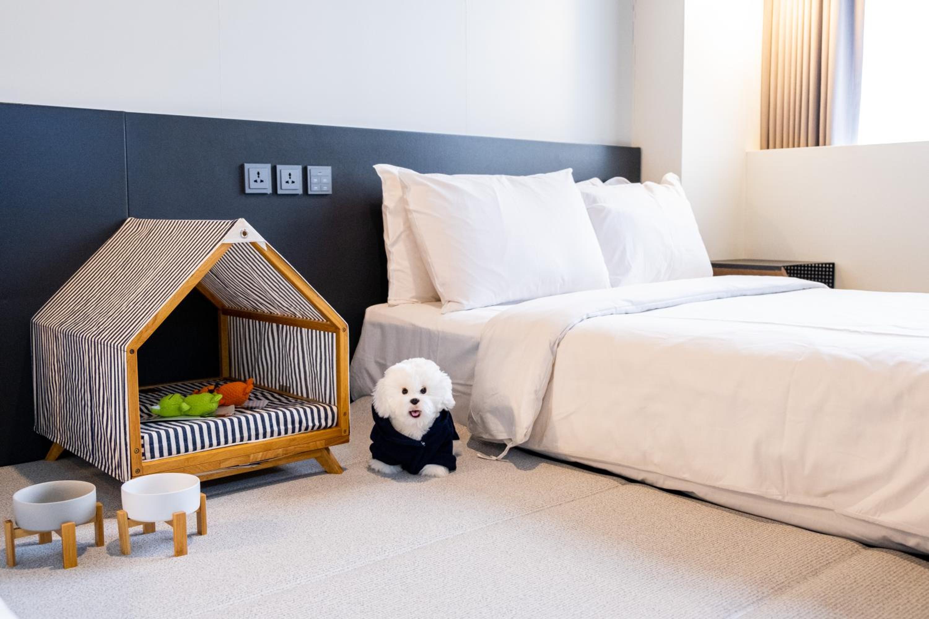 Double Room With Two Double Beds - Dog Allowed