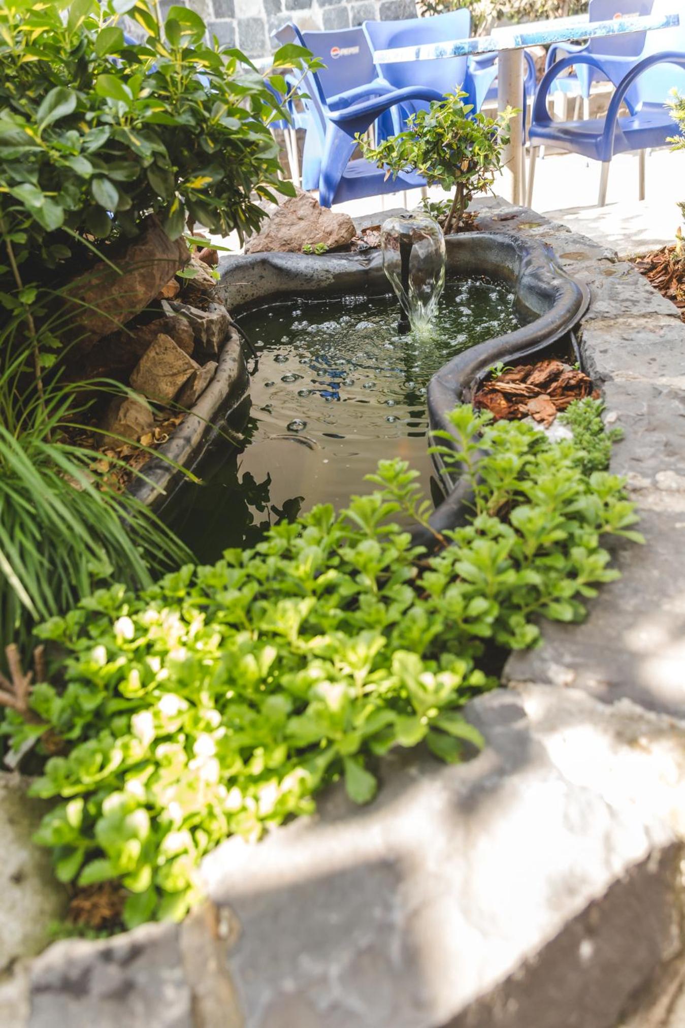 Apartment (3 Adults)