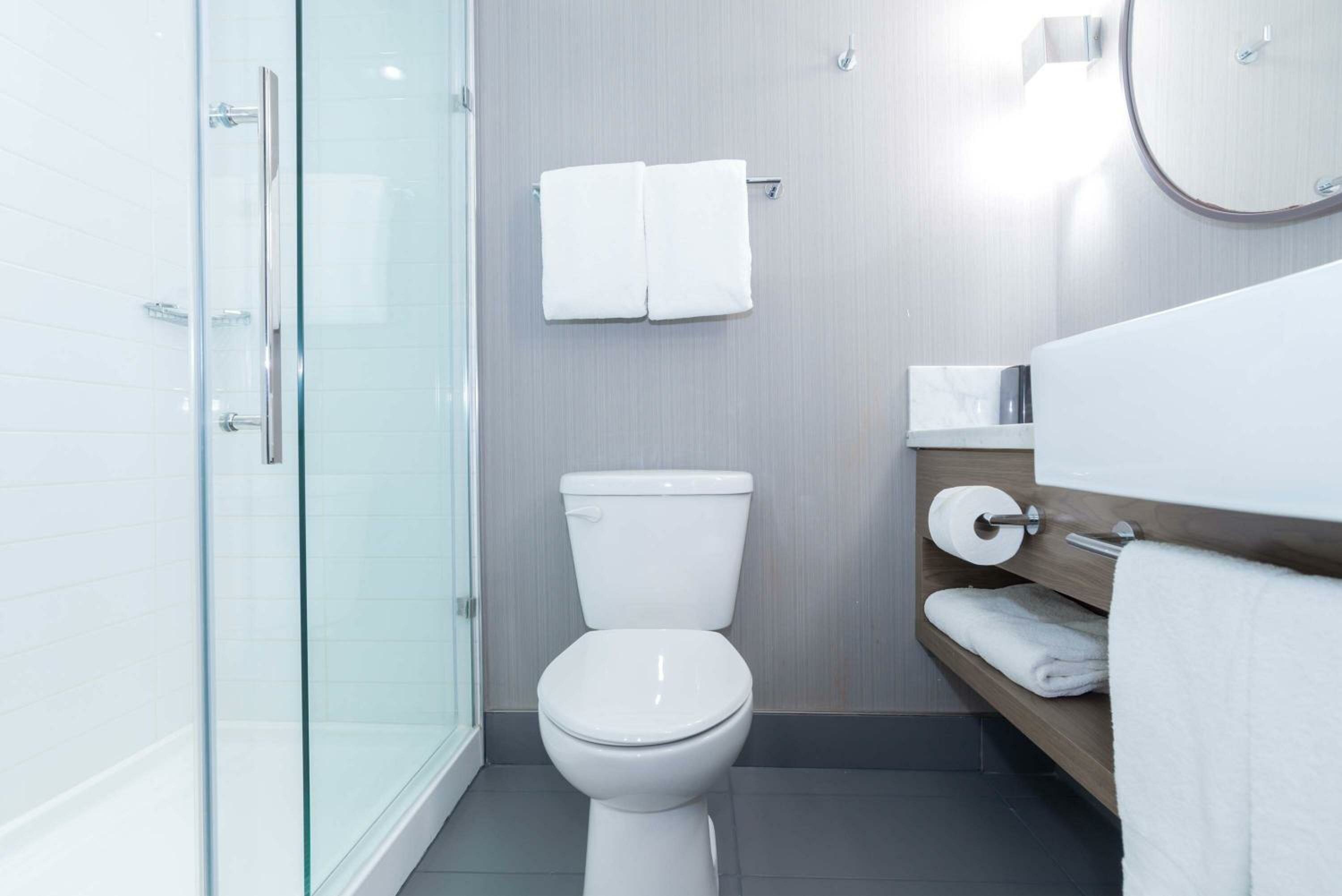 Standard Room, 1 King Bed, Sofa Bed