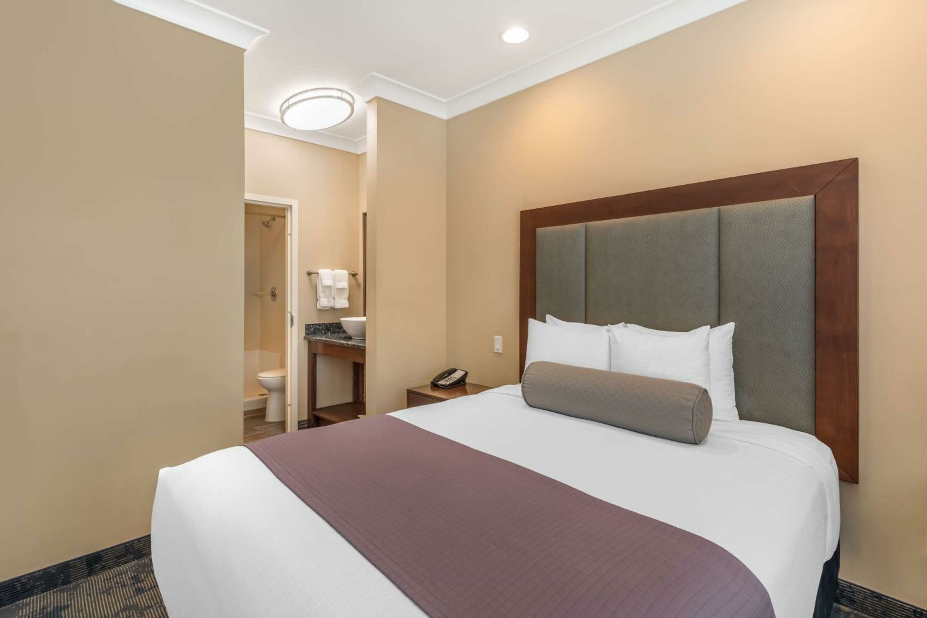 Queen Suite with Sofa Bed