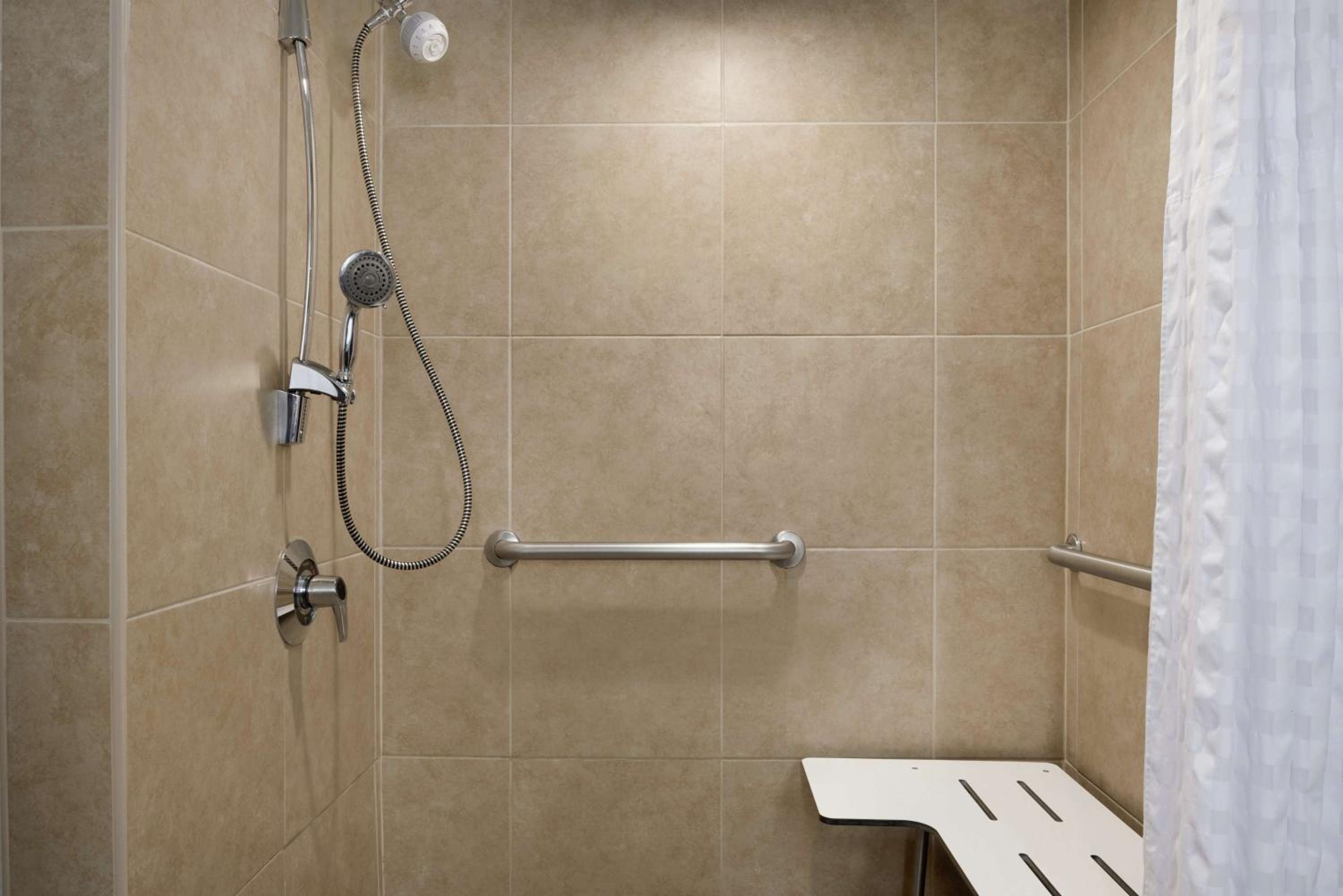 King Suite Accessible Roll-in-Shower/Non-Smoking