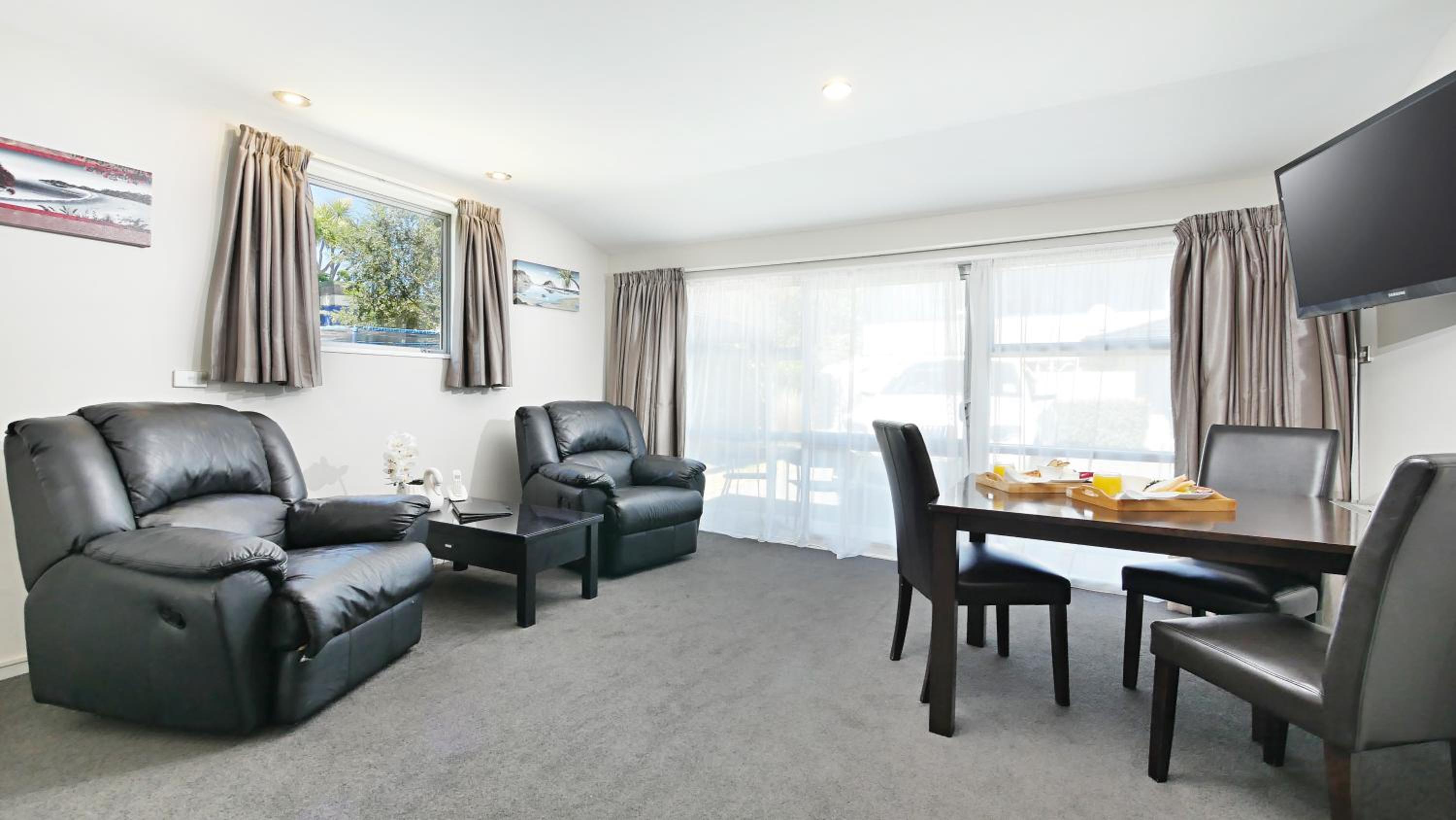 Deluxe One-Bedroom Apartment