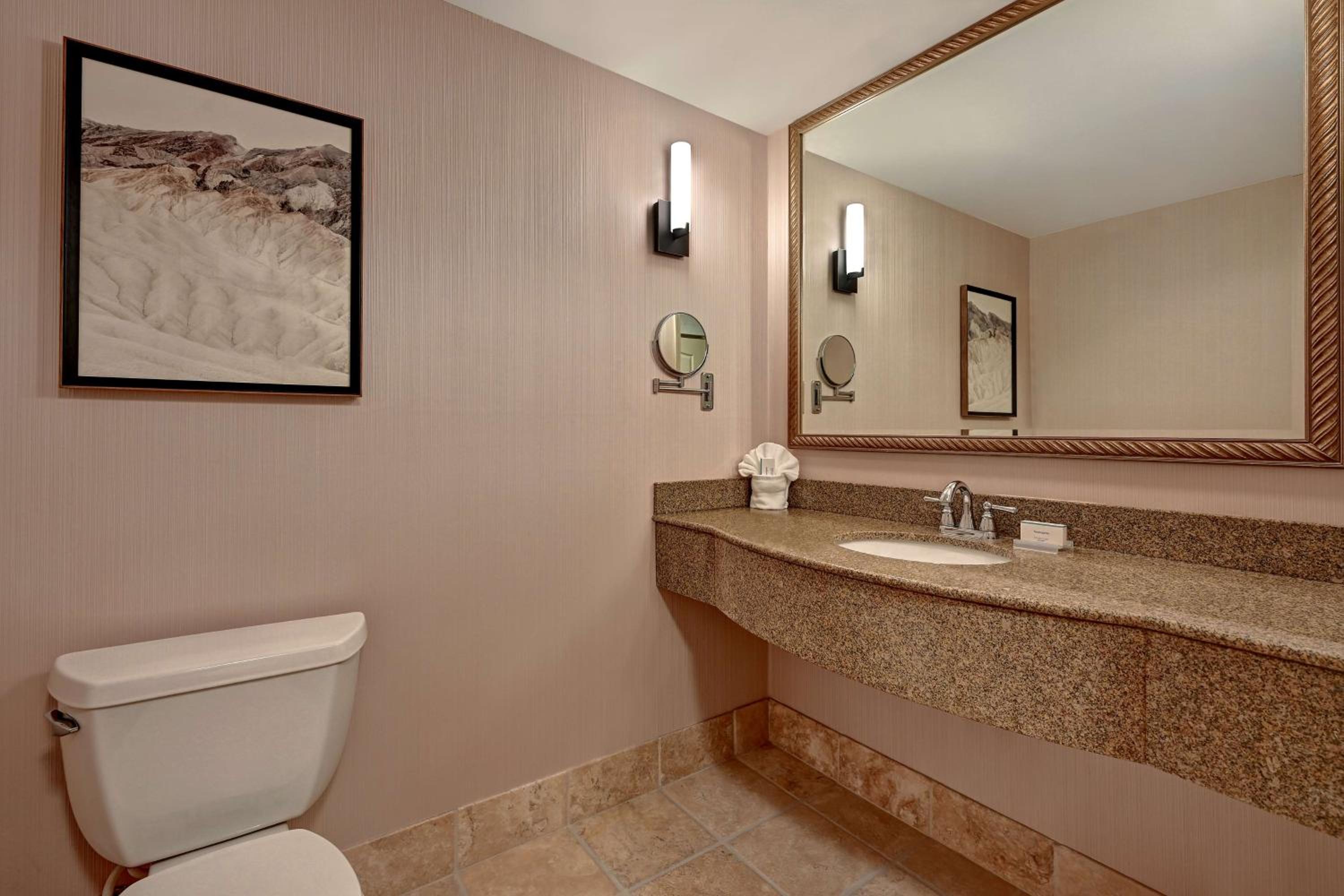 One-Bedroom King Suite with Sofa Bed