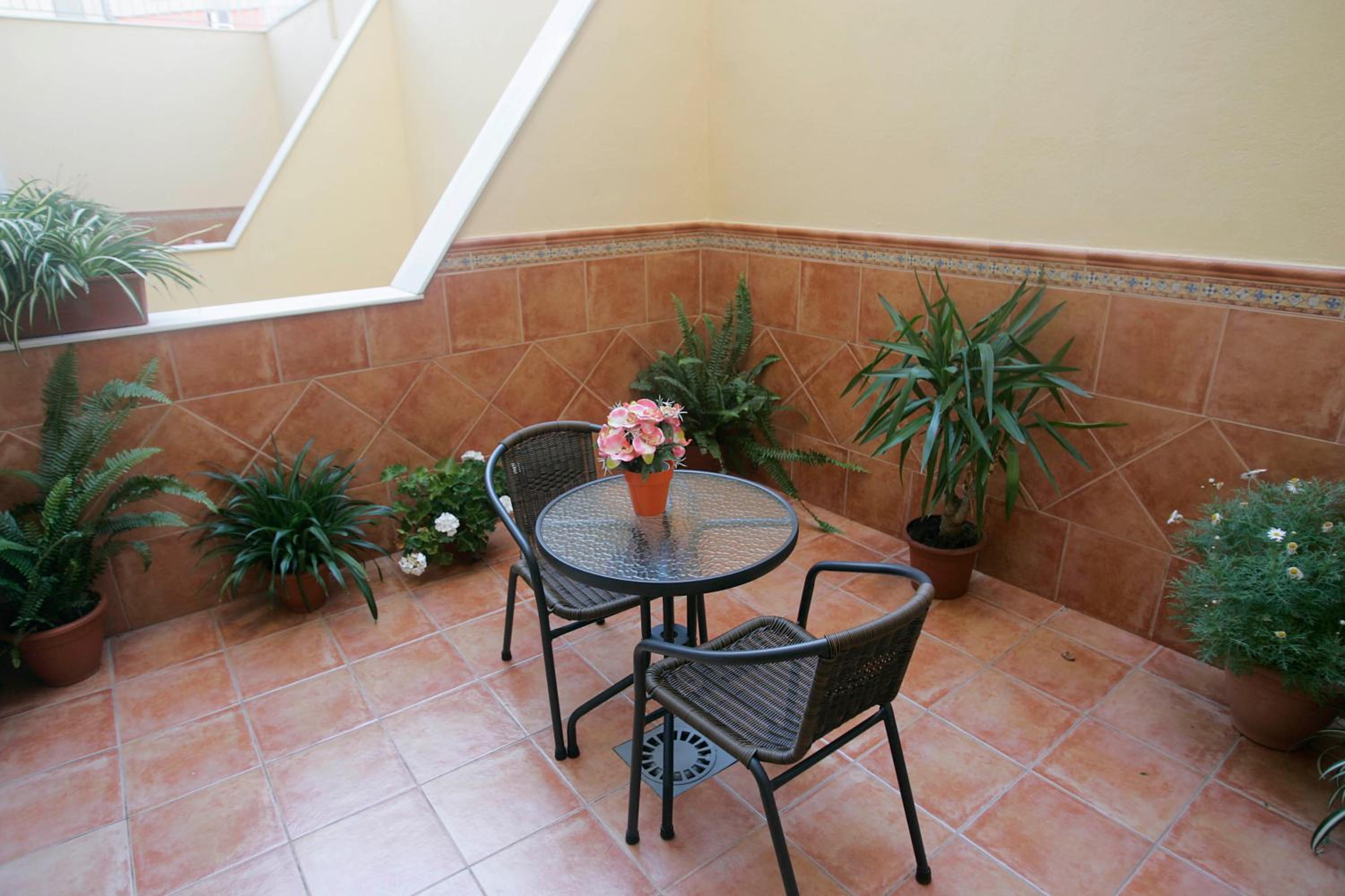 Double or Twin Room with Terrace