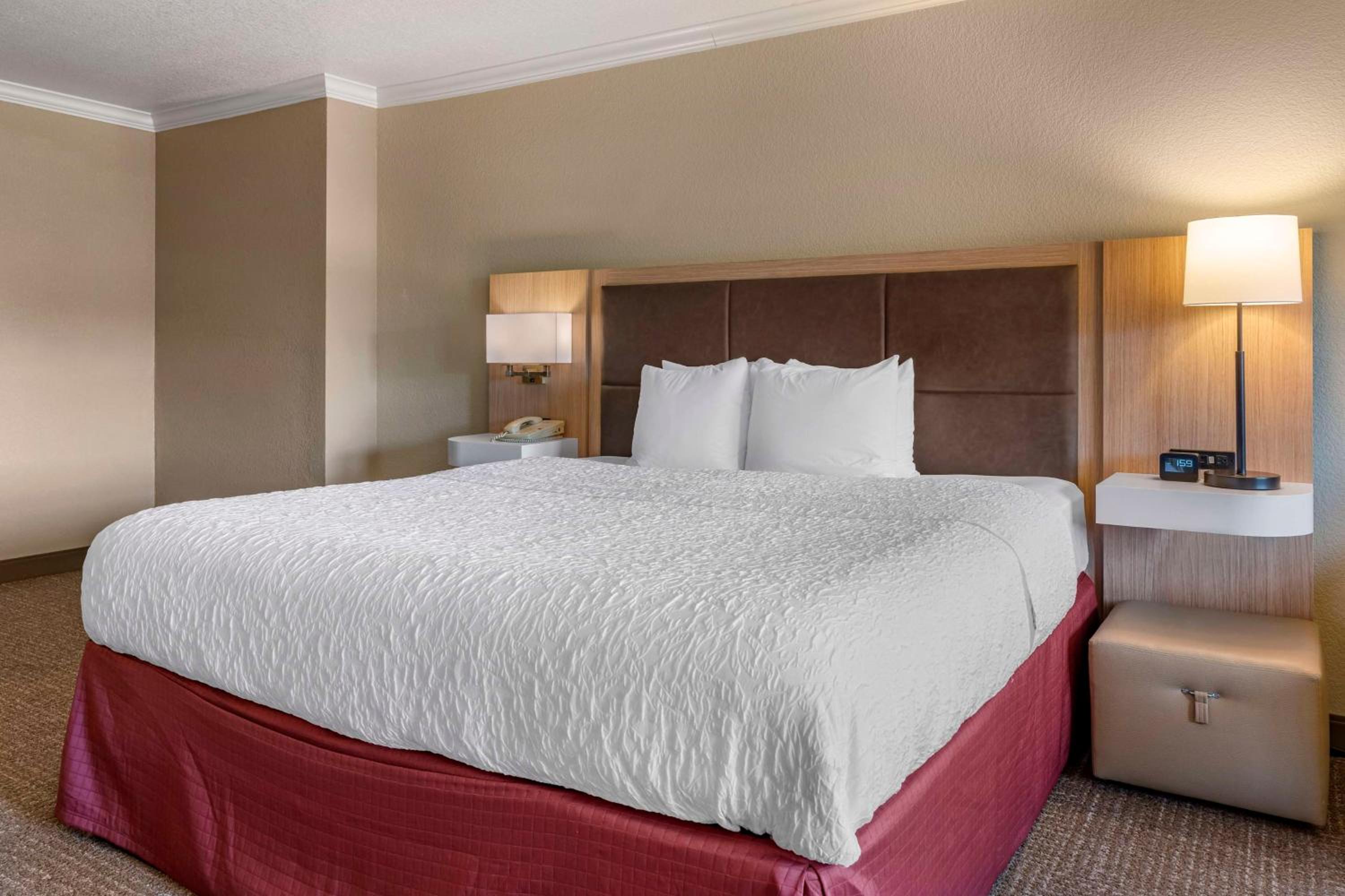 King Studio with Sofa Bed - Non-Smoking