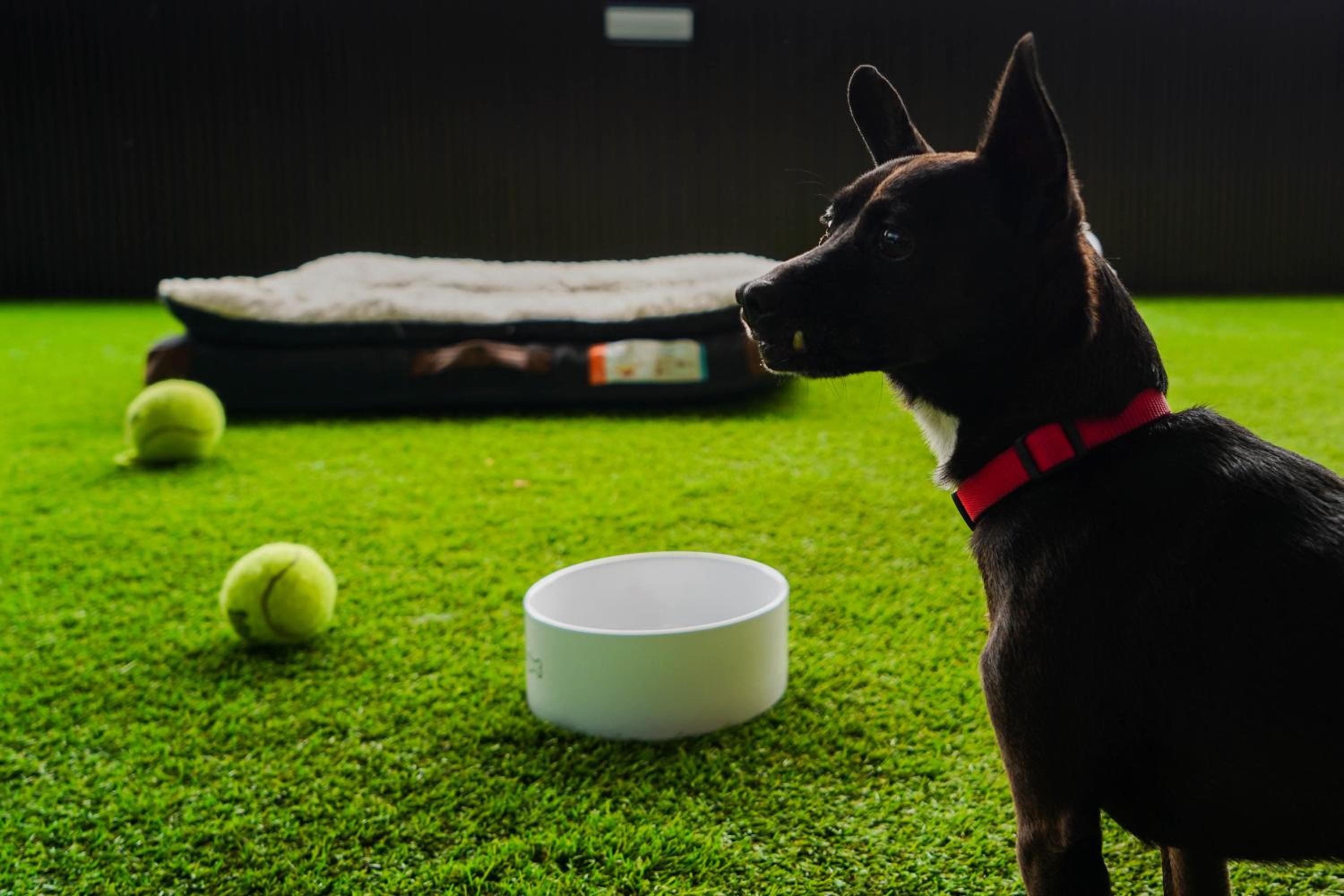Guest Room with Two Double Beds