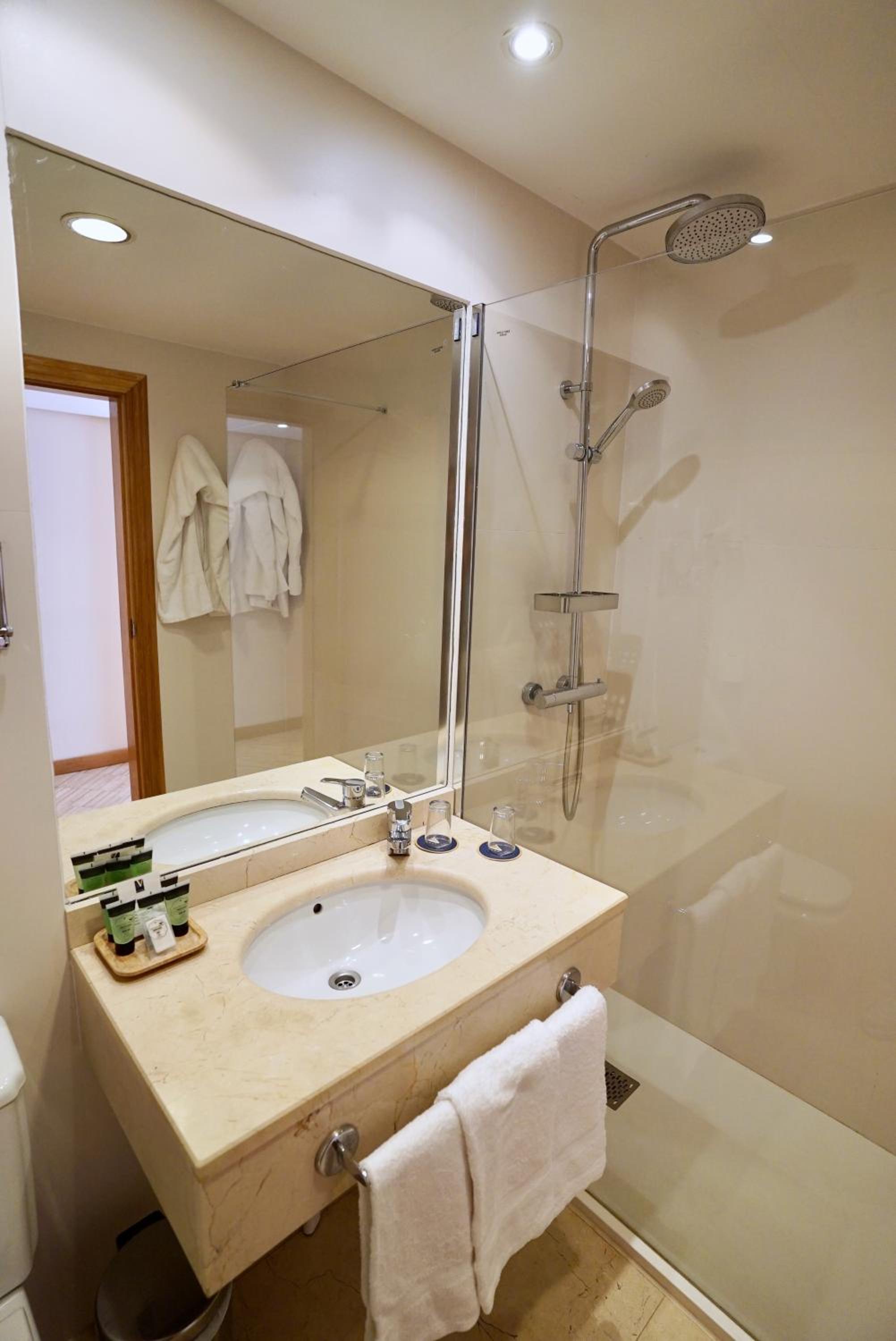 Double or Twin Room with Terrace