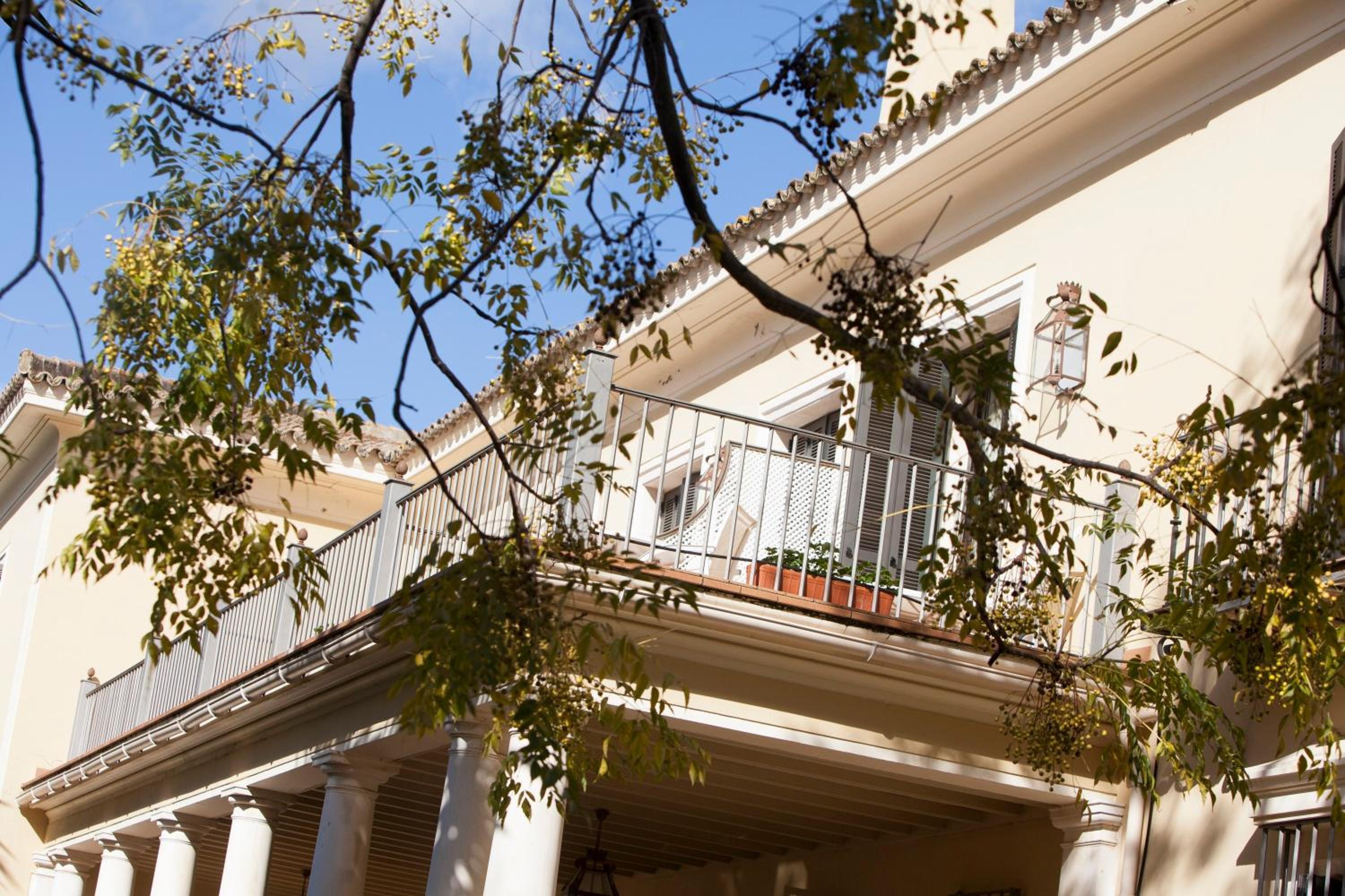 Junior Suite with Garden View