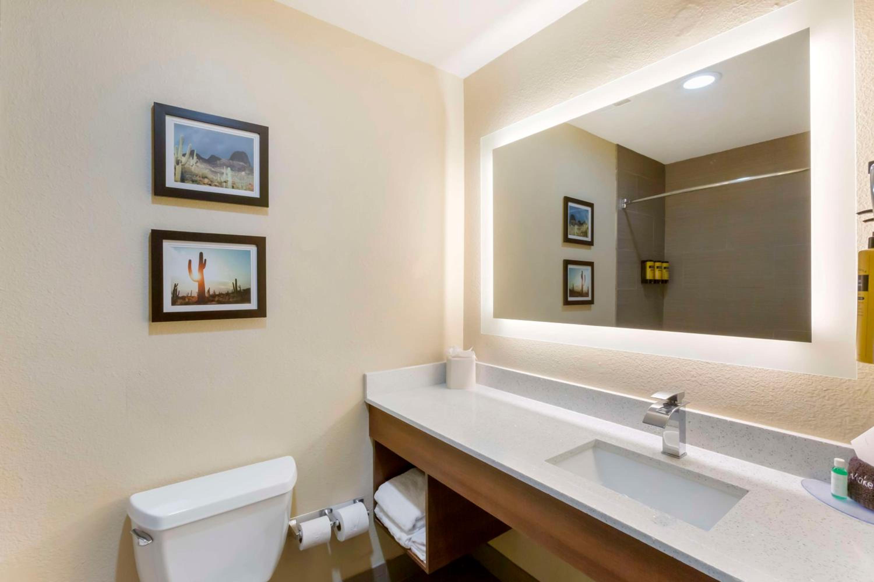 King Room with Sofa Bed