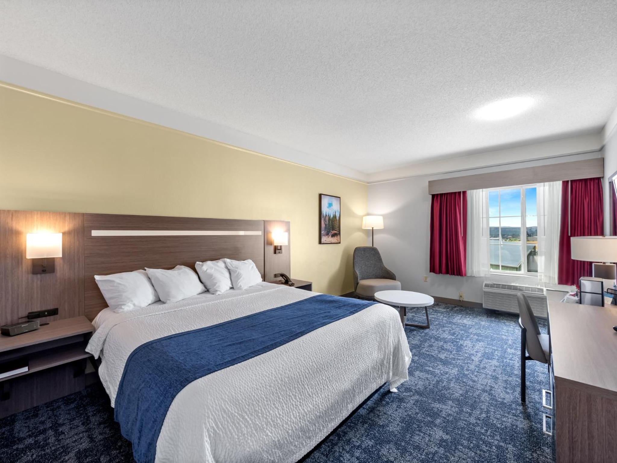 One-Bedroom King Suite with Sofa Bed and Living Room - Non-Smoking