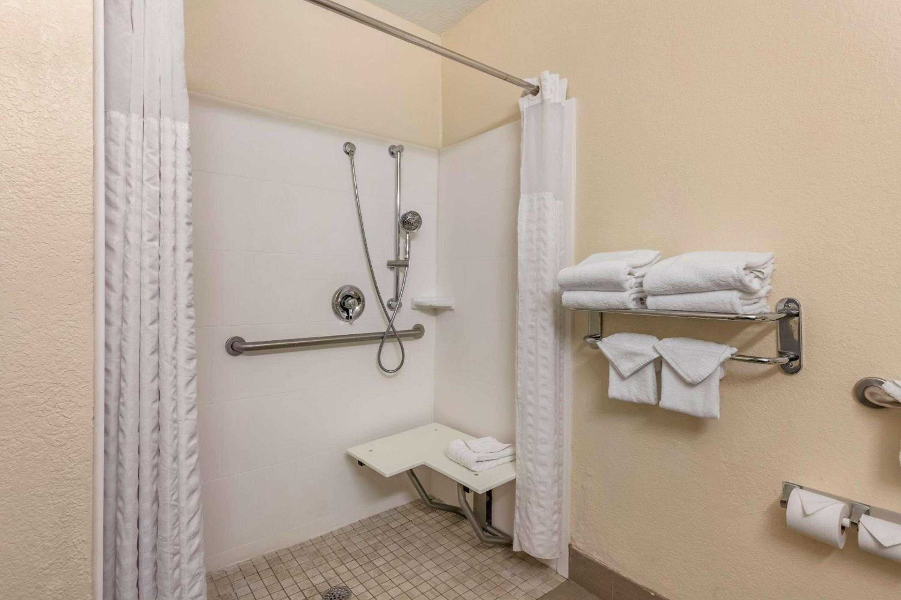 King Suite with Roll-In Shower - Accessible/Non-Smoking