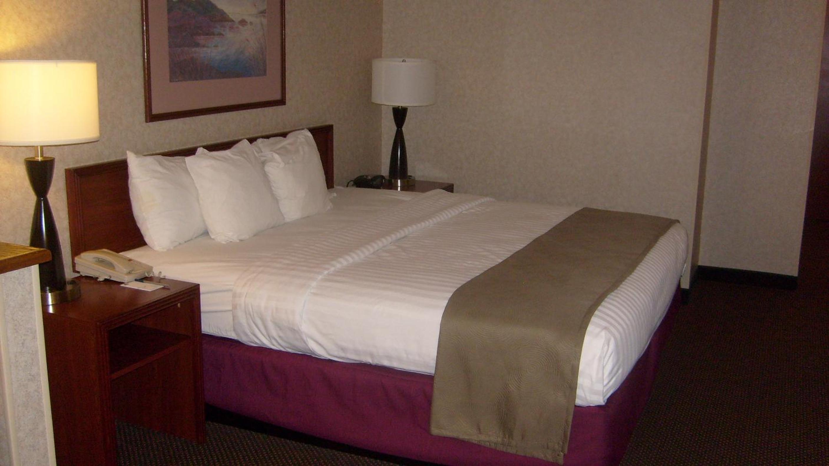 Deluxe King Studio Suite - Non-Smoking