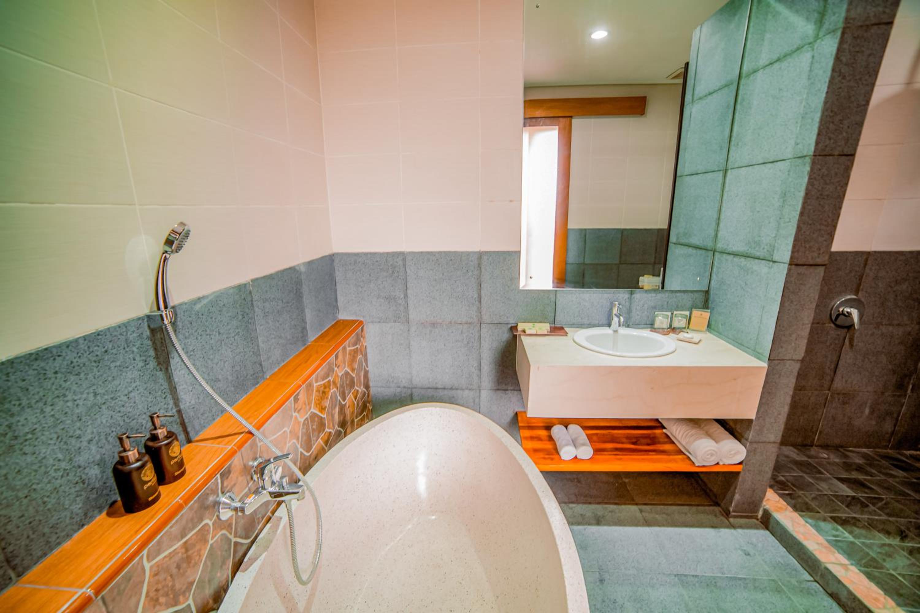 Premier Room