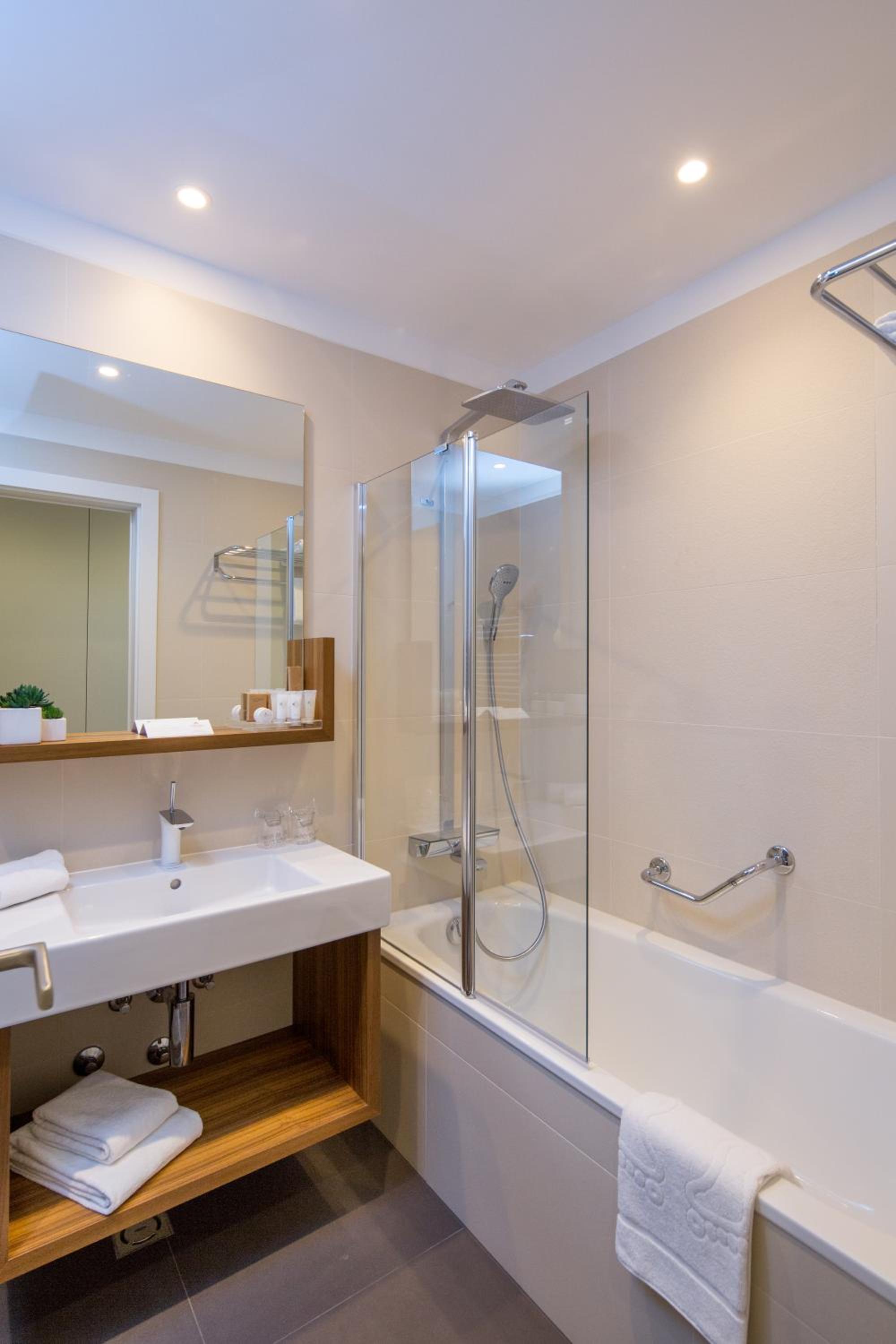 Deluxe King Room with City View