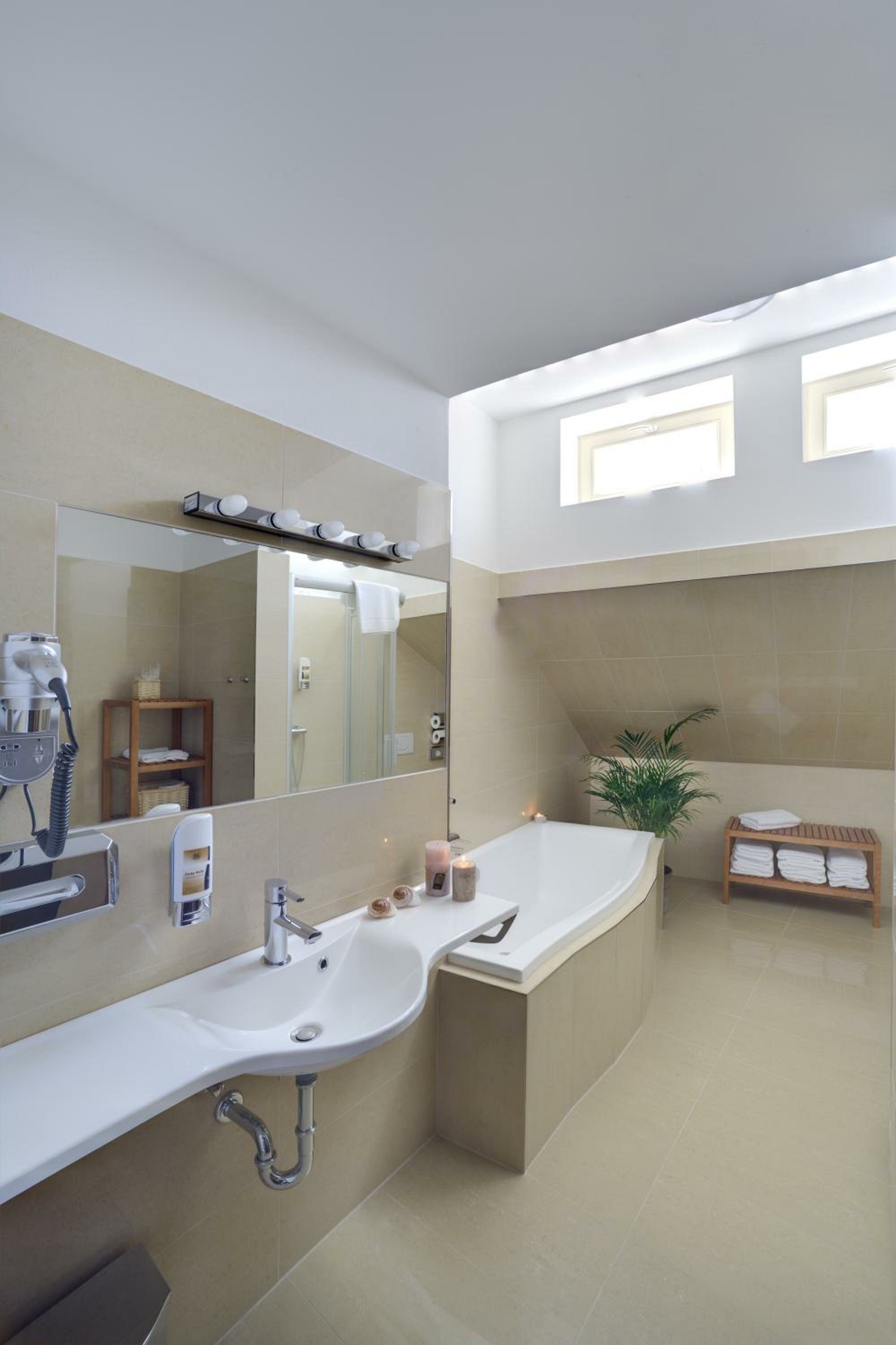 Three-Bedroom Apartment - Attic