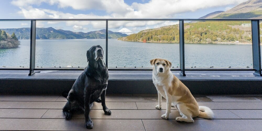 (4double beds and Futon), Dog Friendly, Suite, Non Smoking