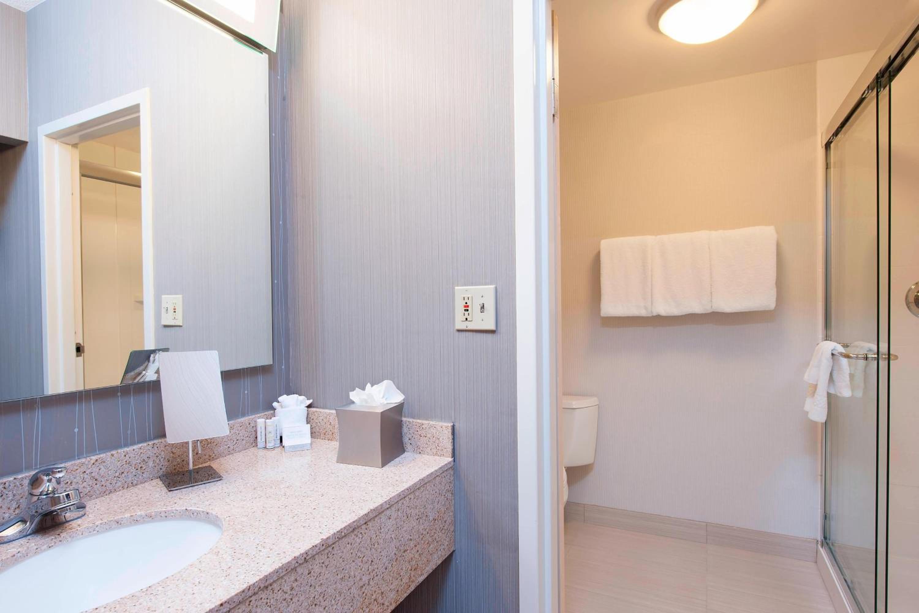 King Suite with Sofa Bed