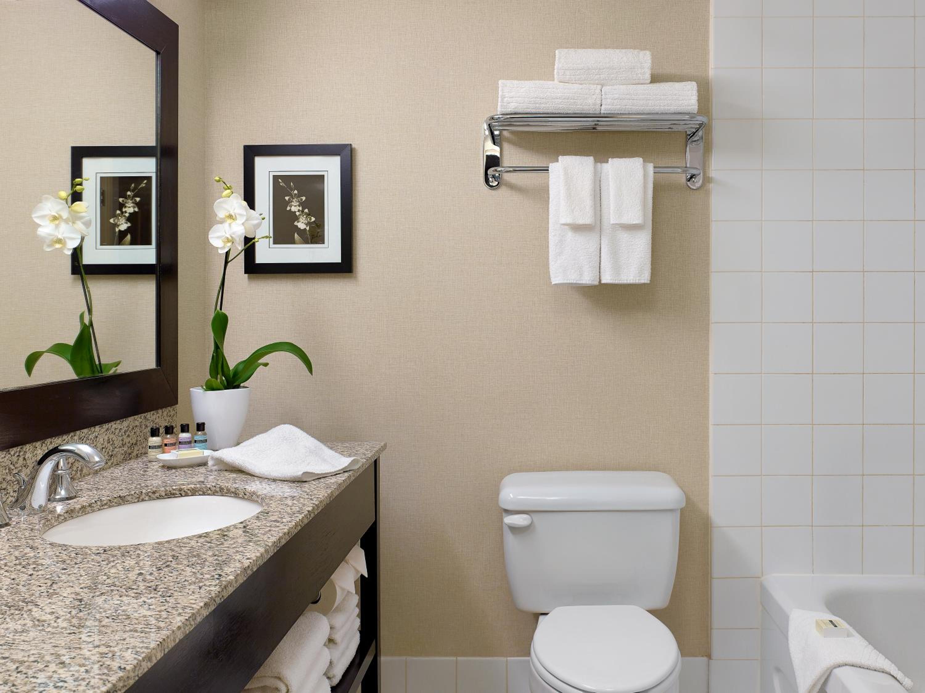 King Studio with Sofa Bed