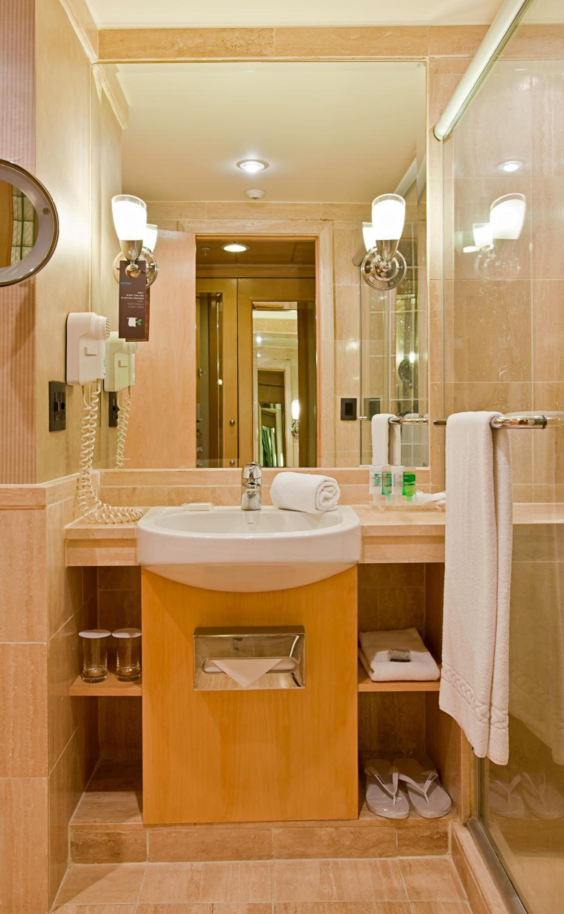 Deluxe Room with Park View