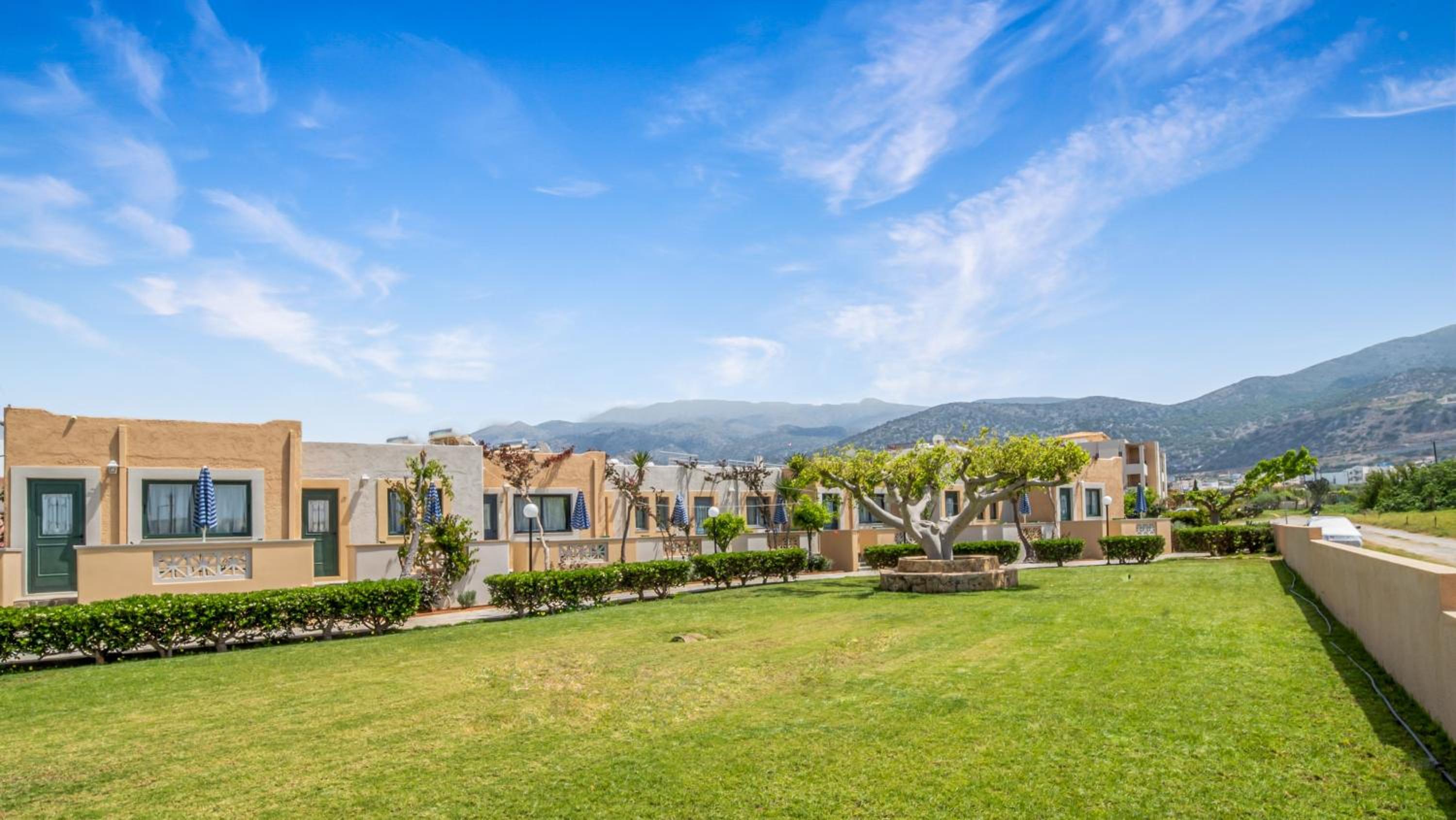 Studio with Garden View