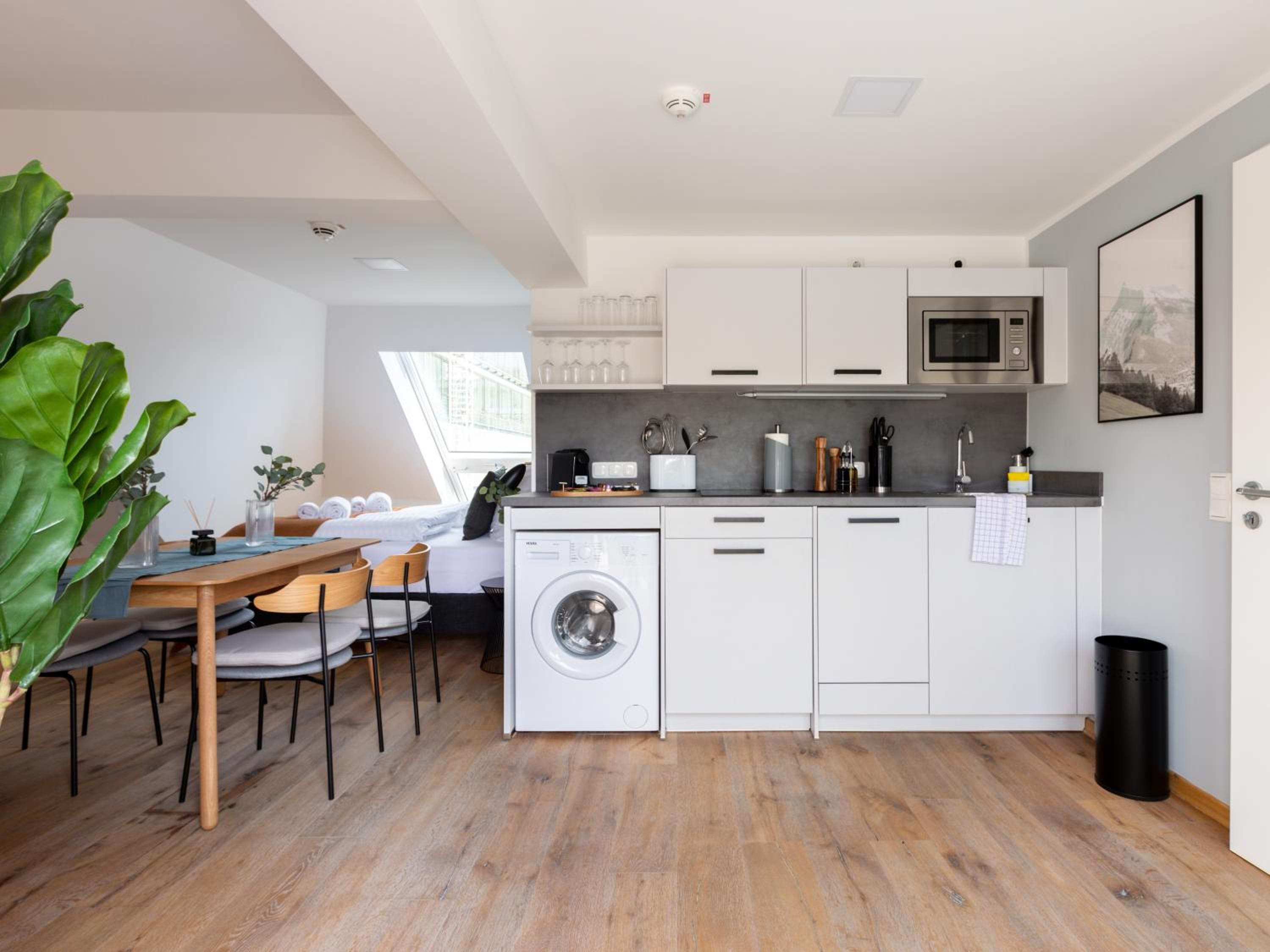 Penthouse Suite with sofa bed & rooftop terrace