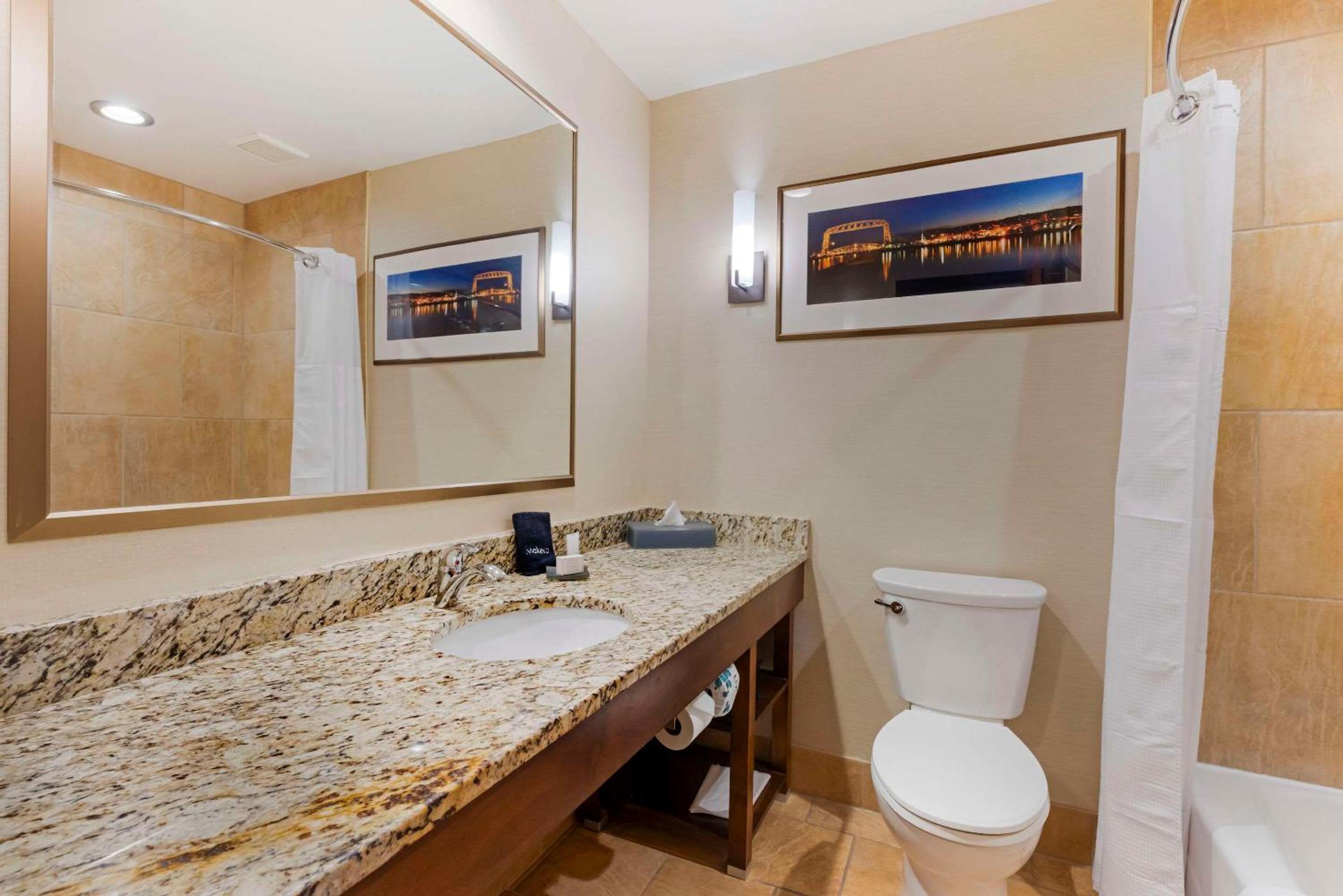 King Suite with Sofa Bed-Lake View