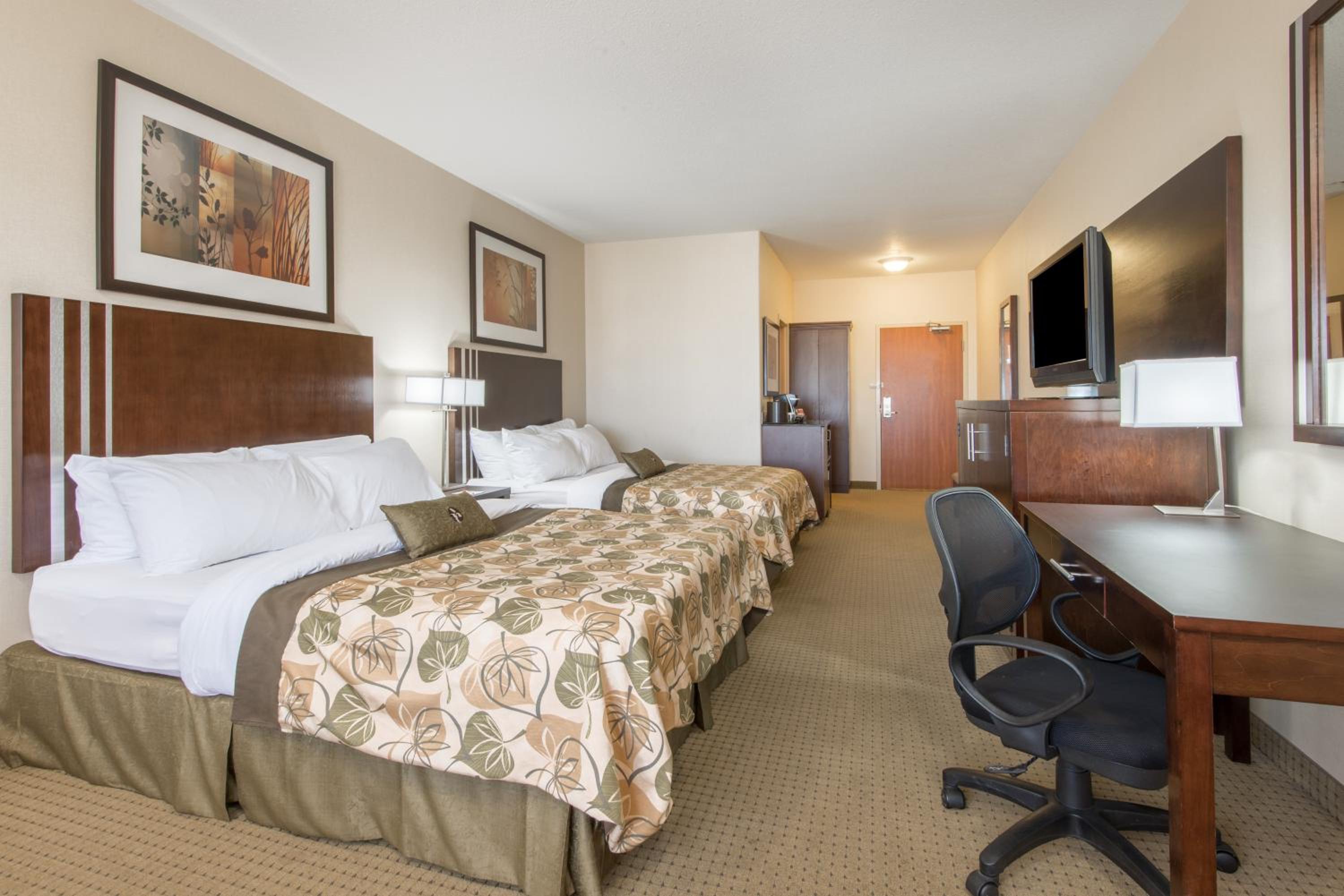 Queen Room with Two Queen Beds - Non-Smoking