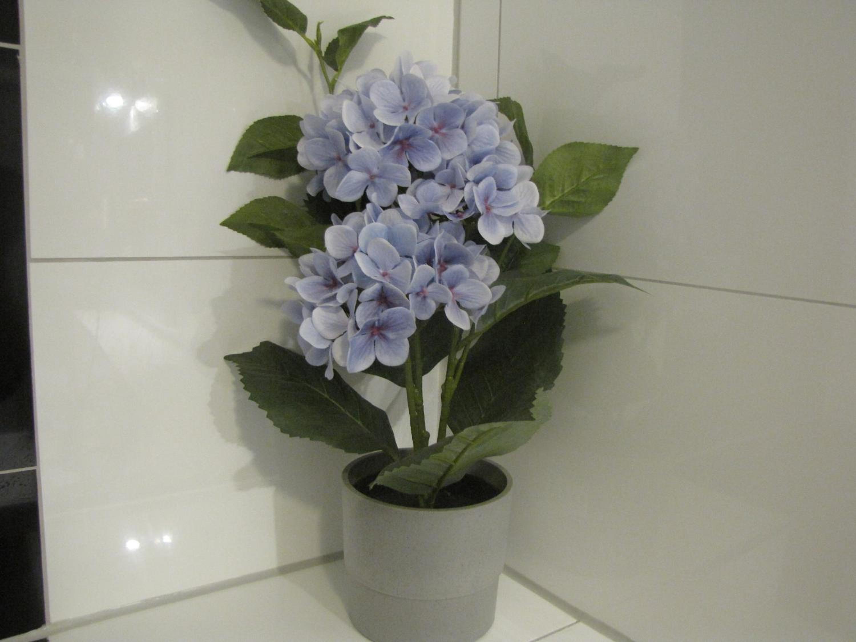 Quadruple Room with Bathroom