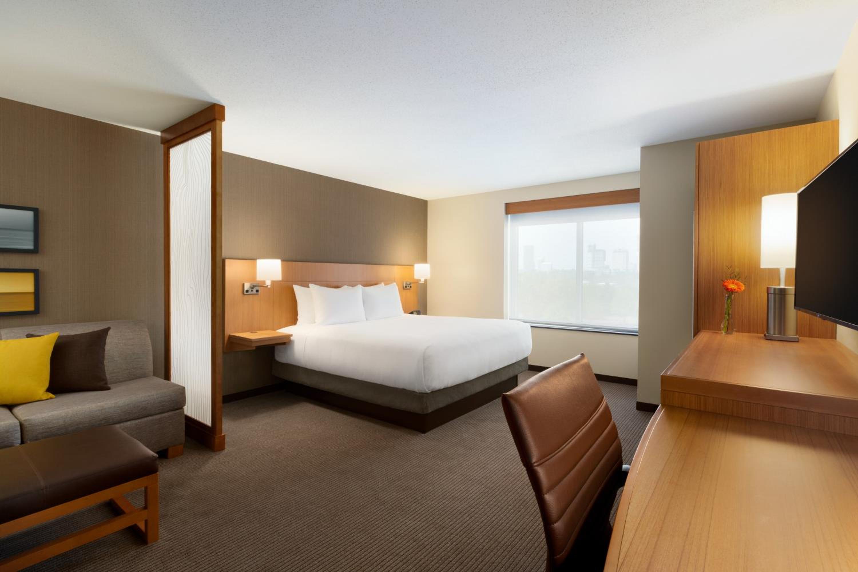 King Room with Sofa Bed