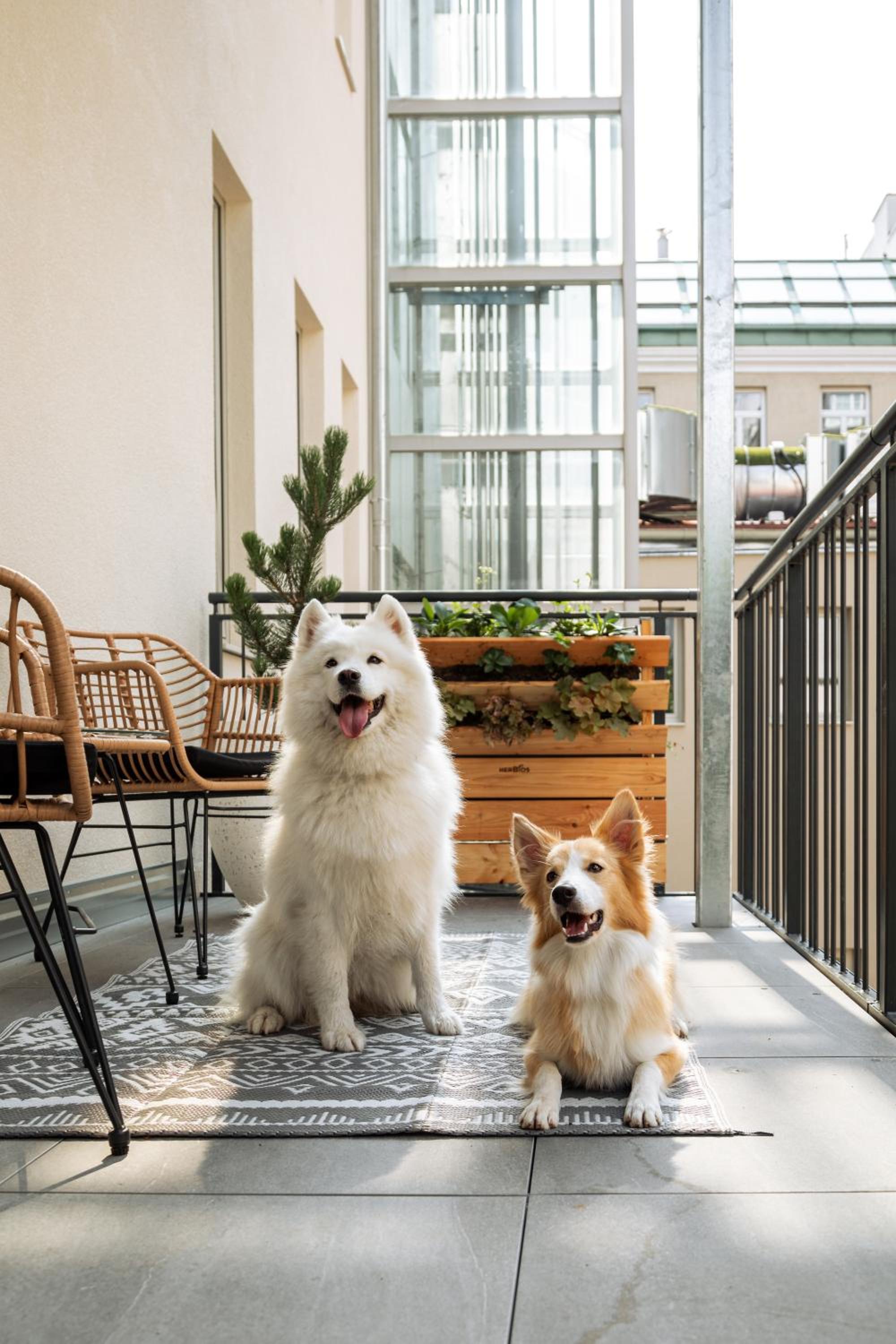 One Bedroom Apartment with Balcony 