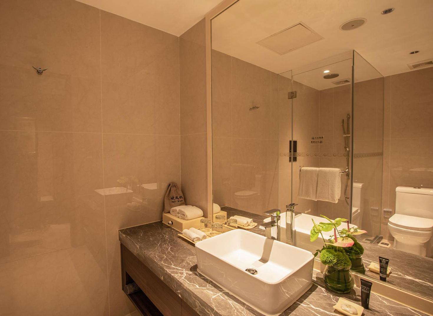 Deluxe Business Queen Room