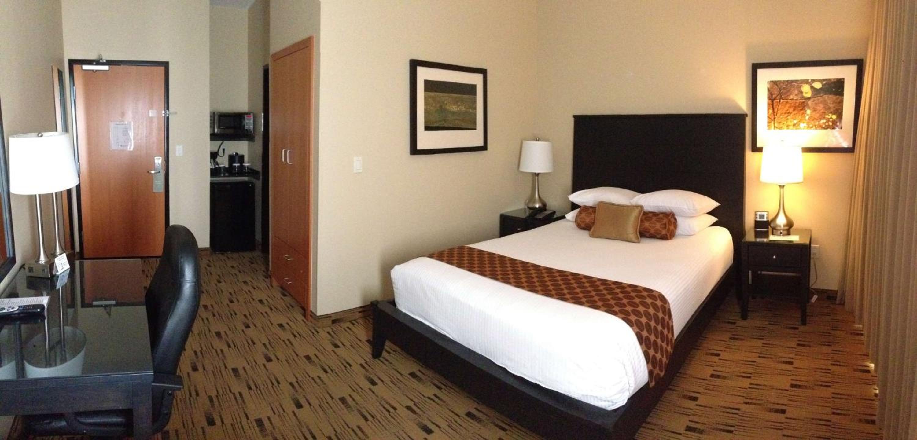 Executive Economy Queen Room - Adults Only - No Pets