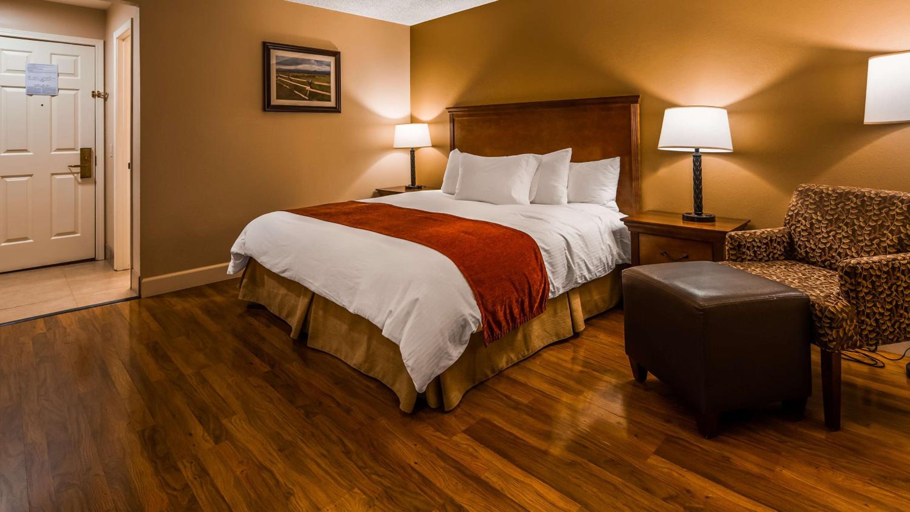 King Room - Non-Smoking/ Pet Friendly Room