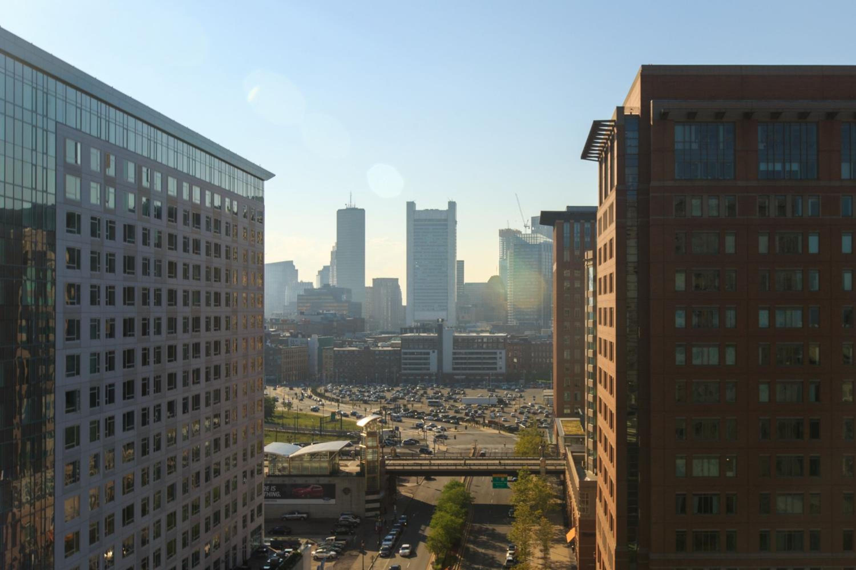 Suite, 1 King, Sofa bed