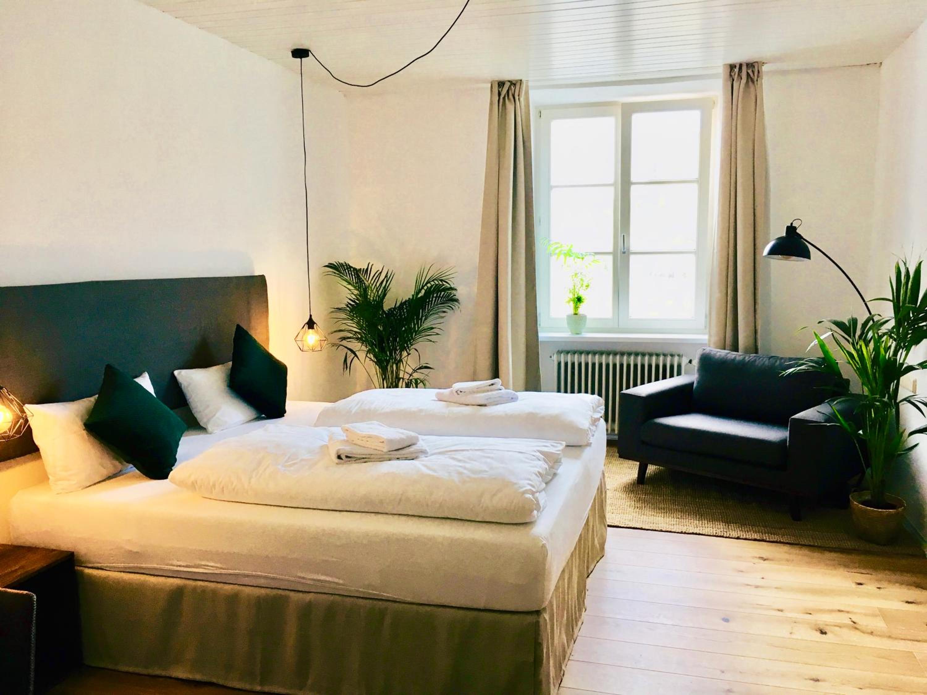 Deluxe Double or Twin Room with River View