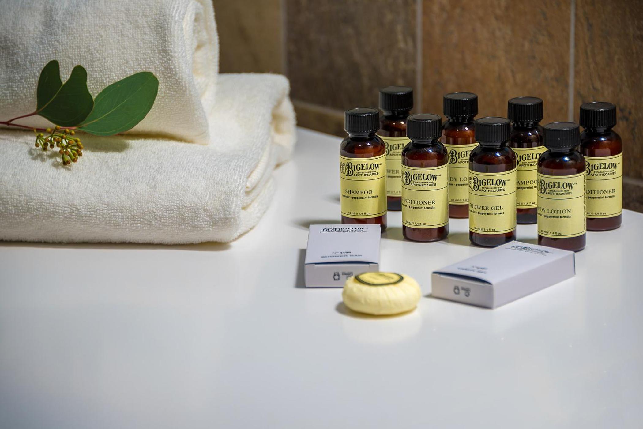 Junior Suite with Terrace