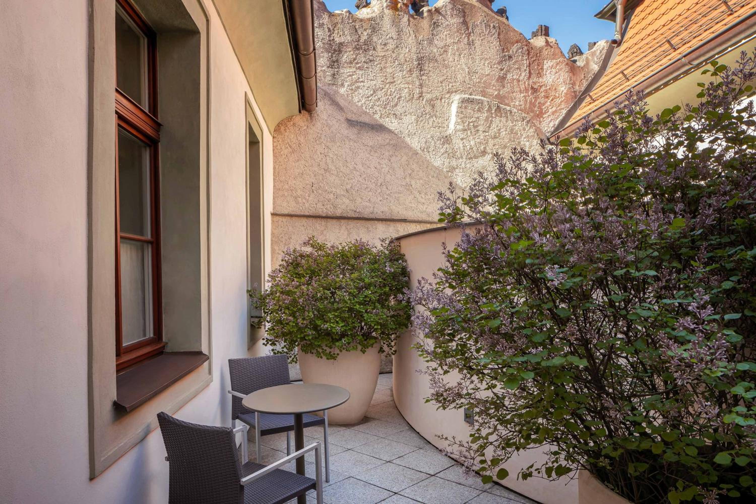 Classic Room, Guest room, 1 Queen