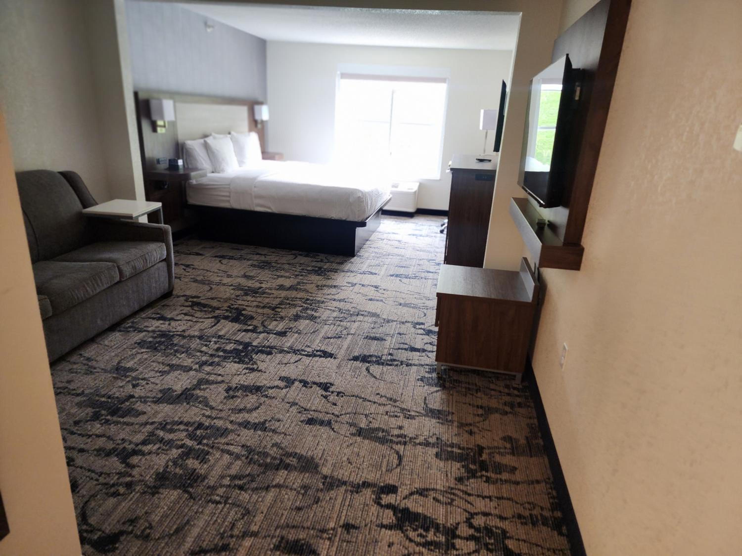 King Studio Suite - Pet-Friendly/Non-Smoking