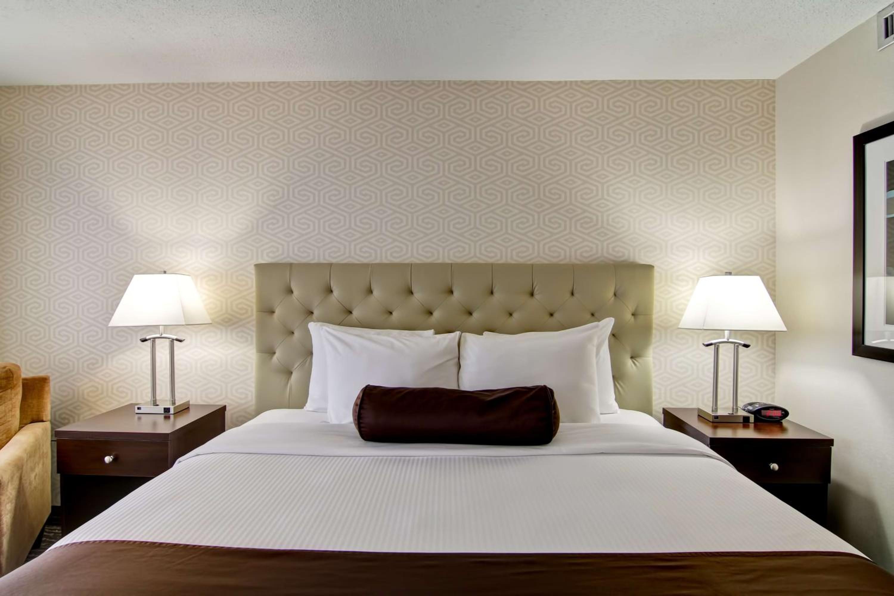 King Room - Non-Smoking/Pet Friendly