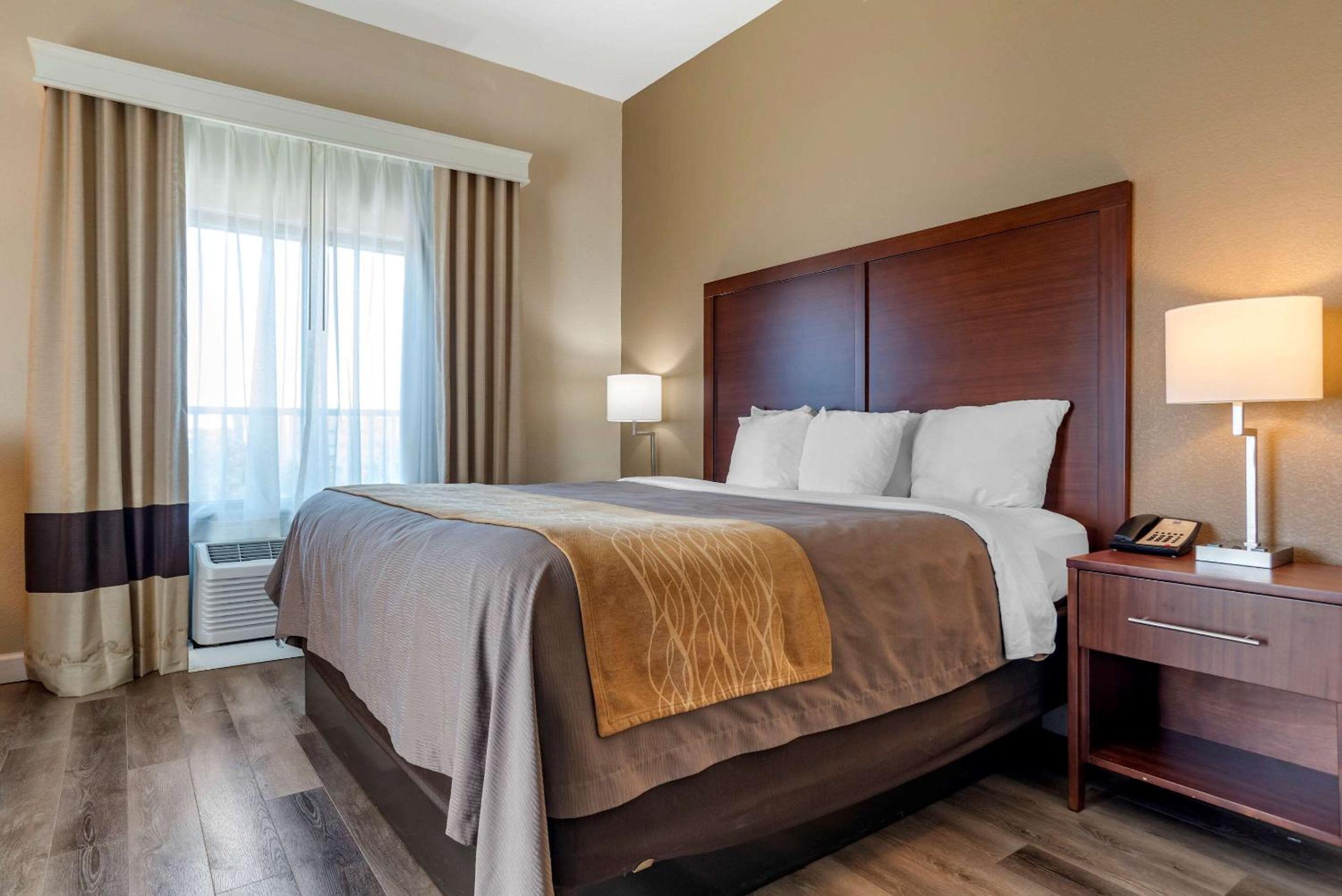 King Room with Roll-In Shower - Accessible/Non-Smoking