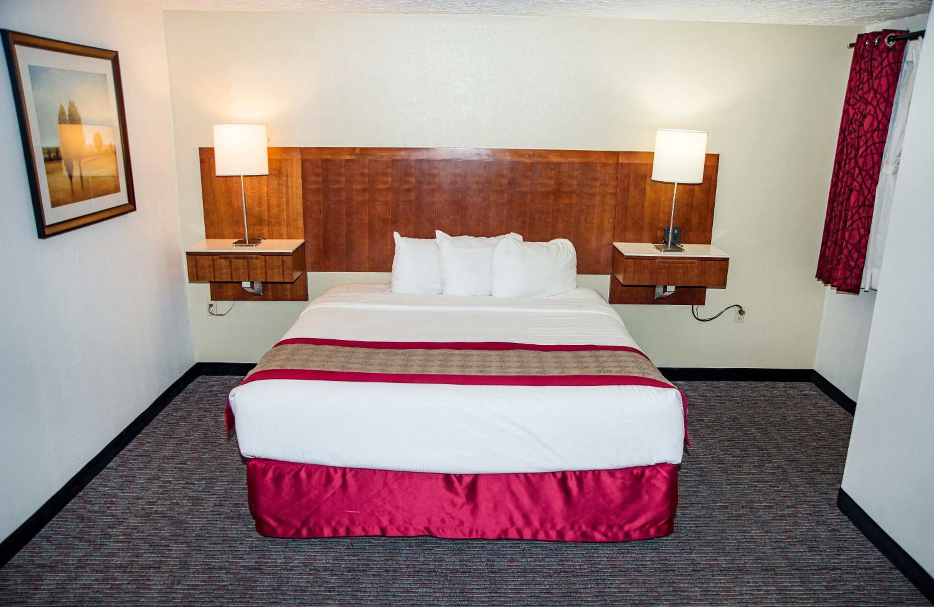King Room - Pet Friendly/Non-Smoking