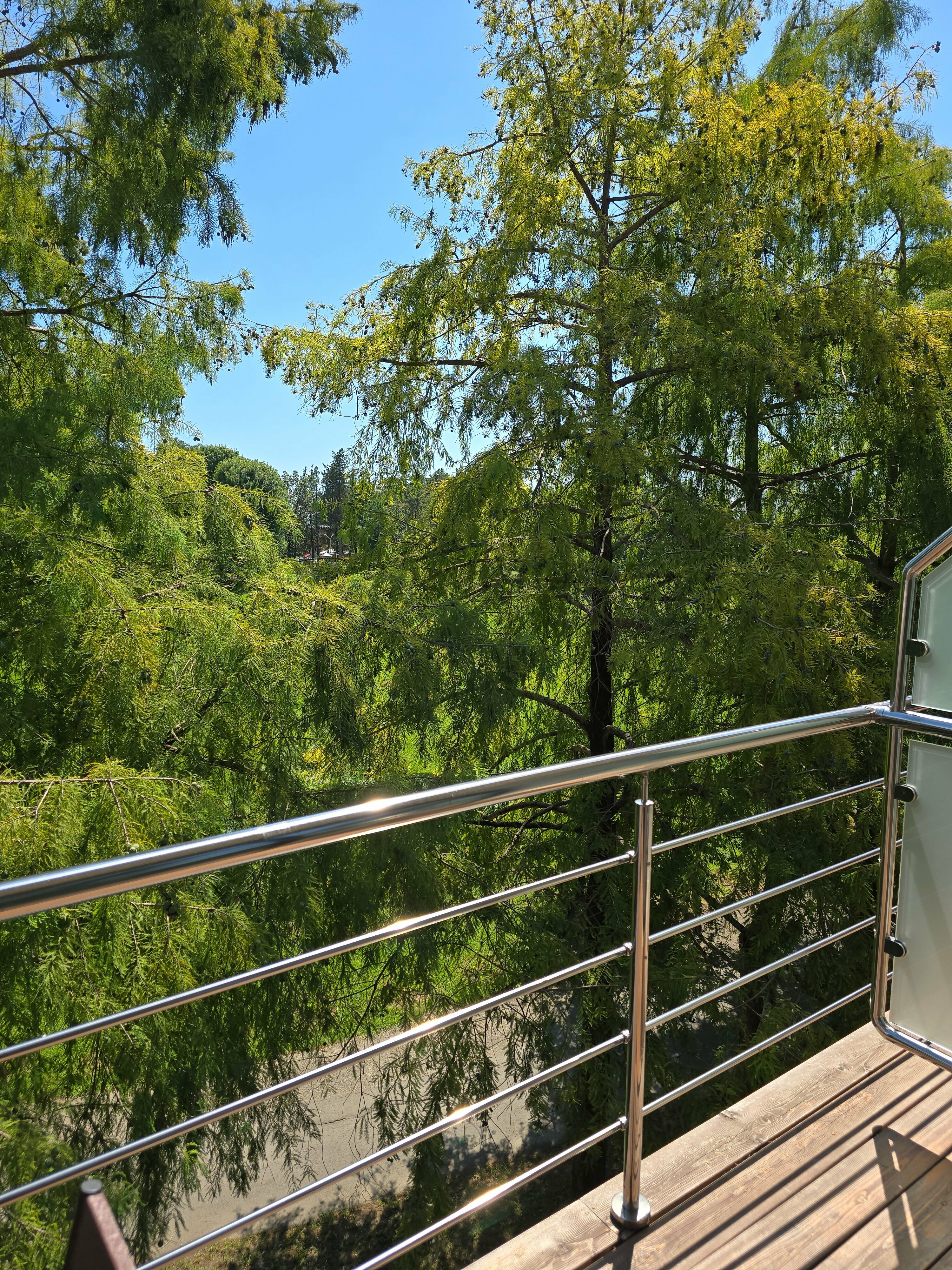 Двухместный номер с 2 отдельными кроватями и балконом