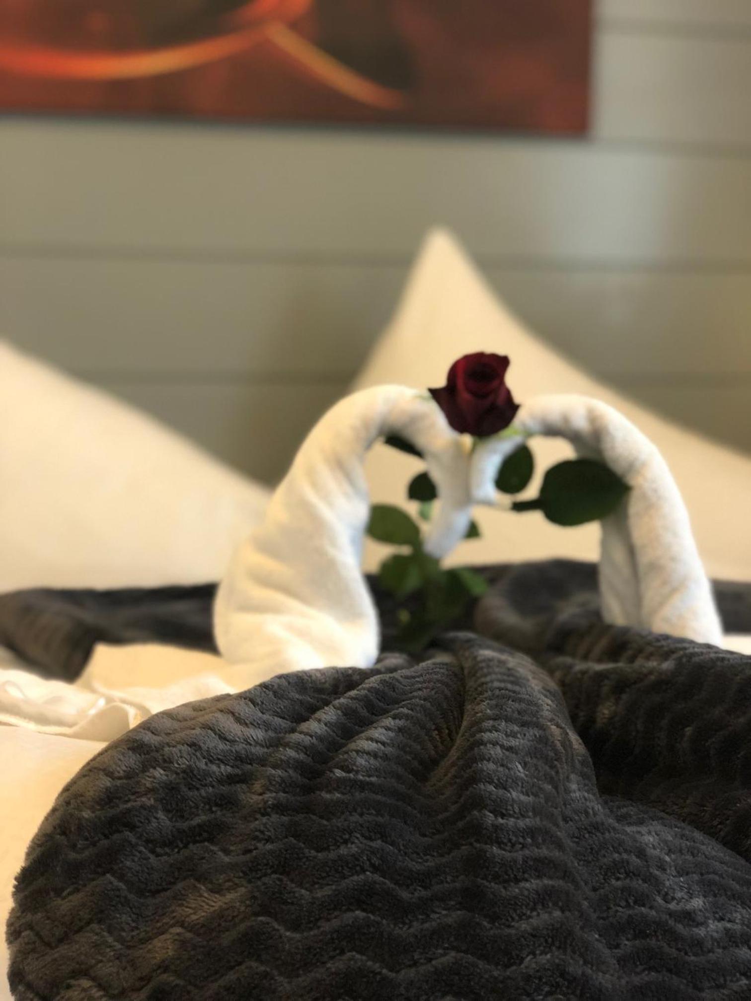 Special Offer - Double Room